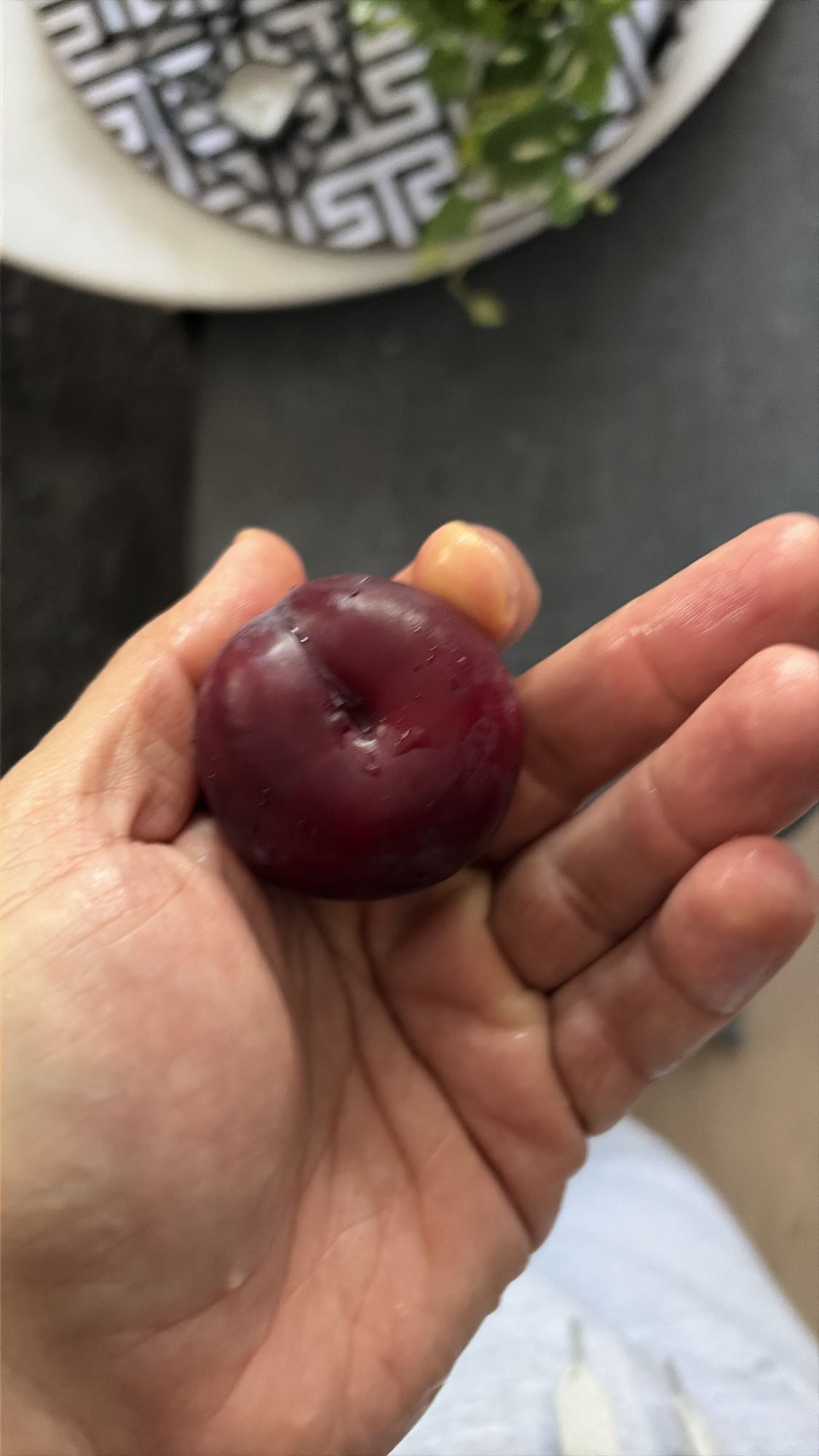 Fresh Plum Snack