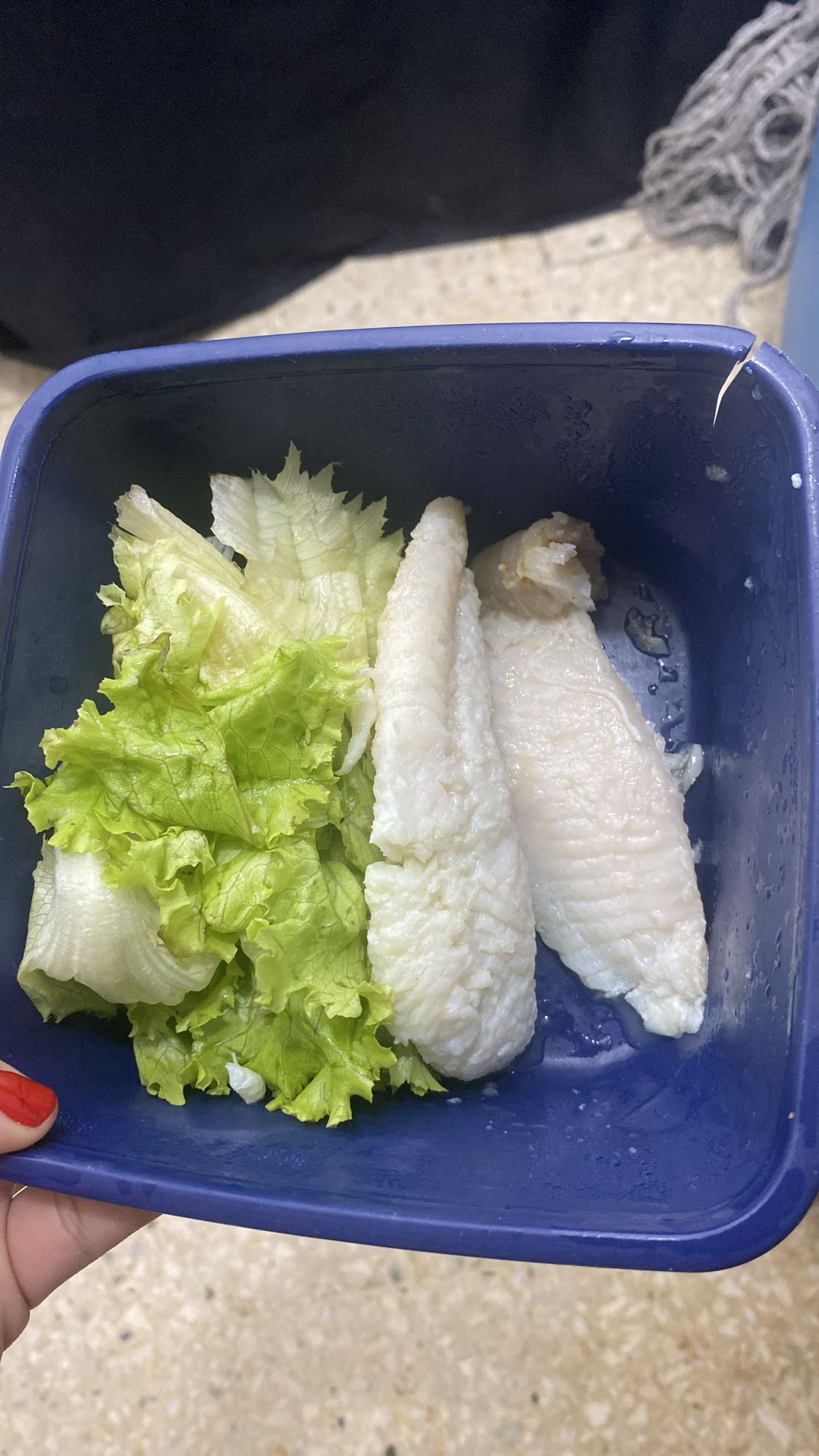 Pescado con lechuga