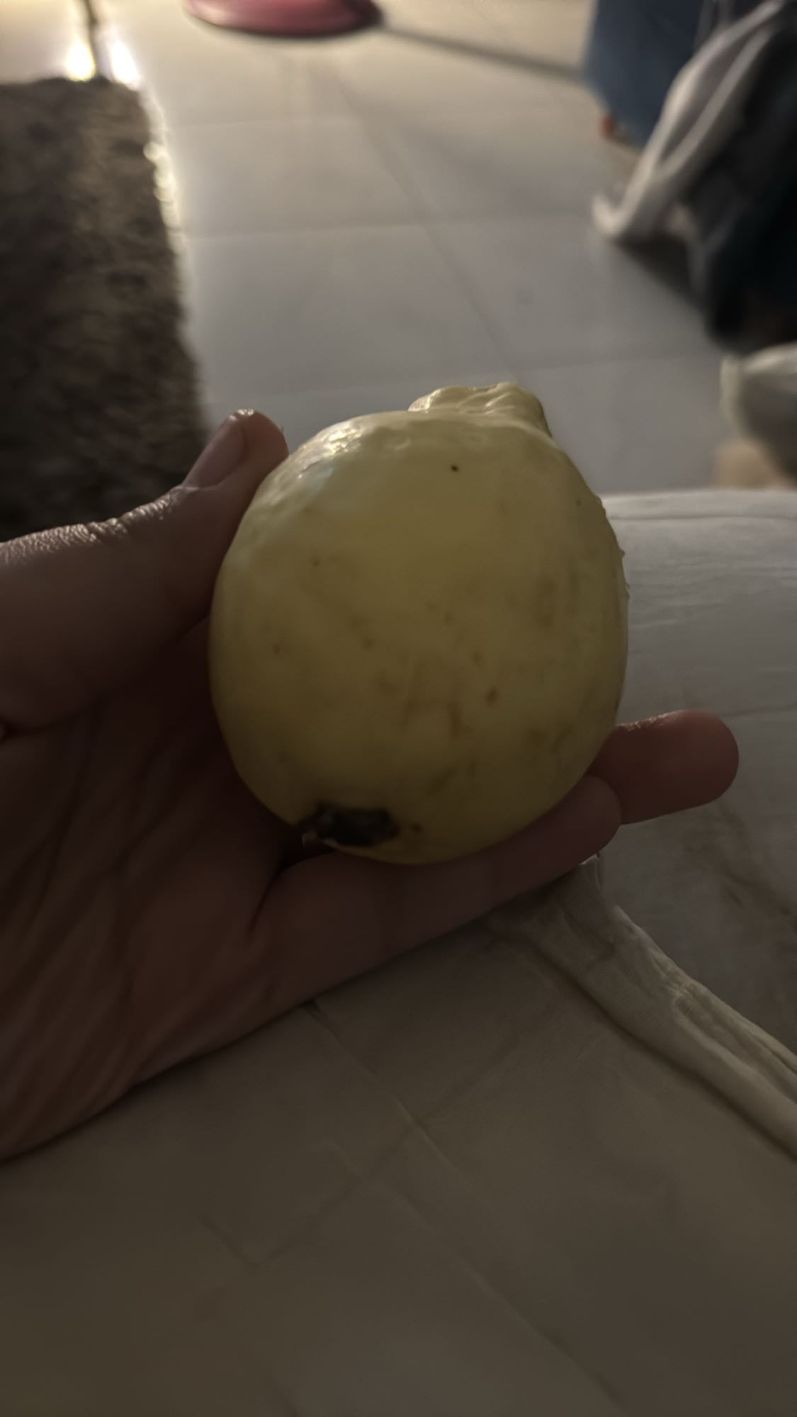 جوافة كاملة