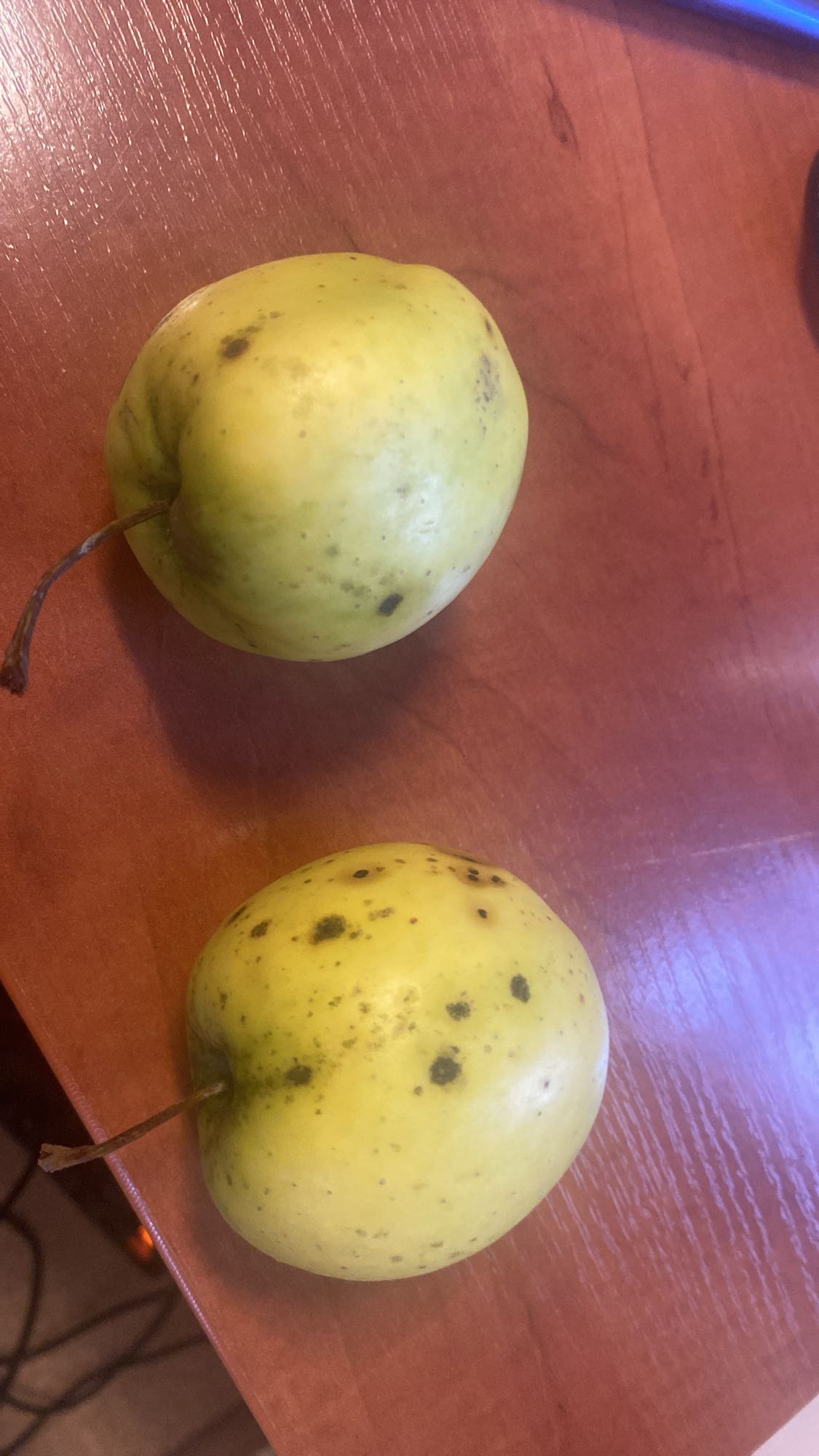 Dwa żółte jabłka