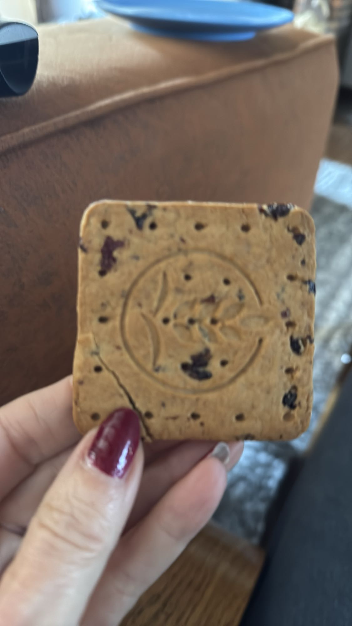 haverkoekje met bessen