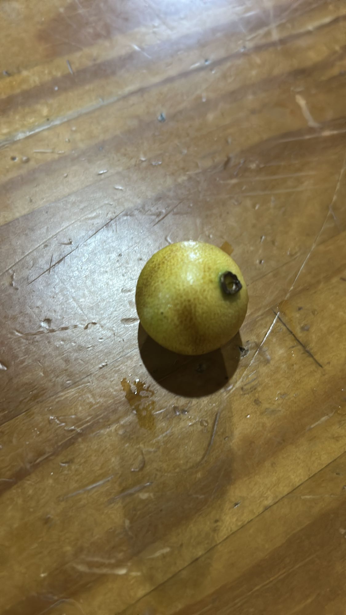 fruta - limão doce pequeno