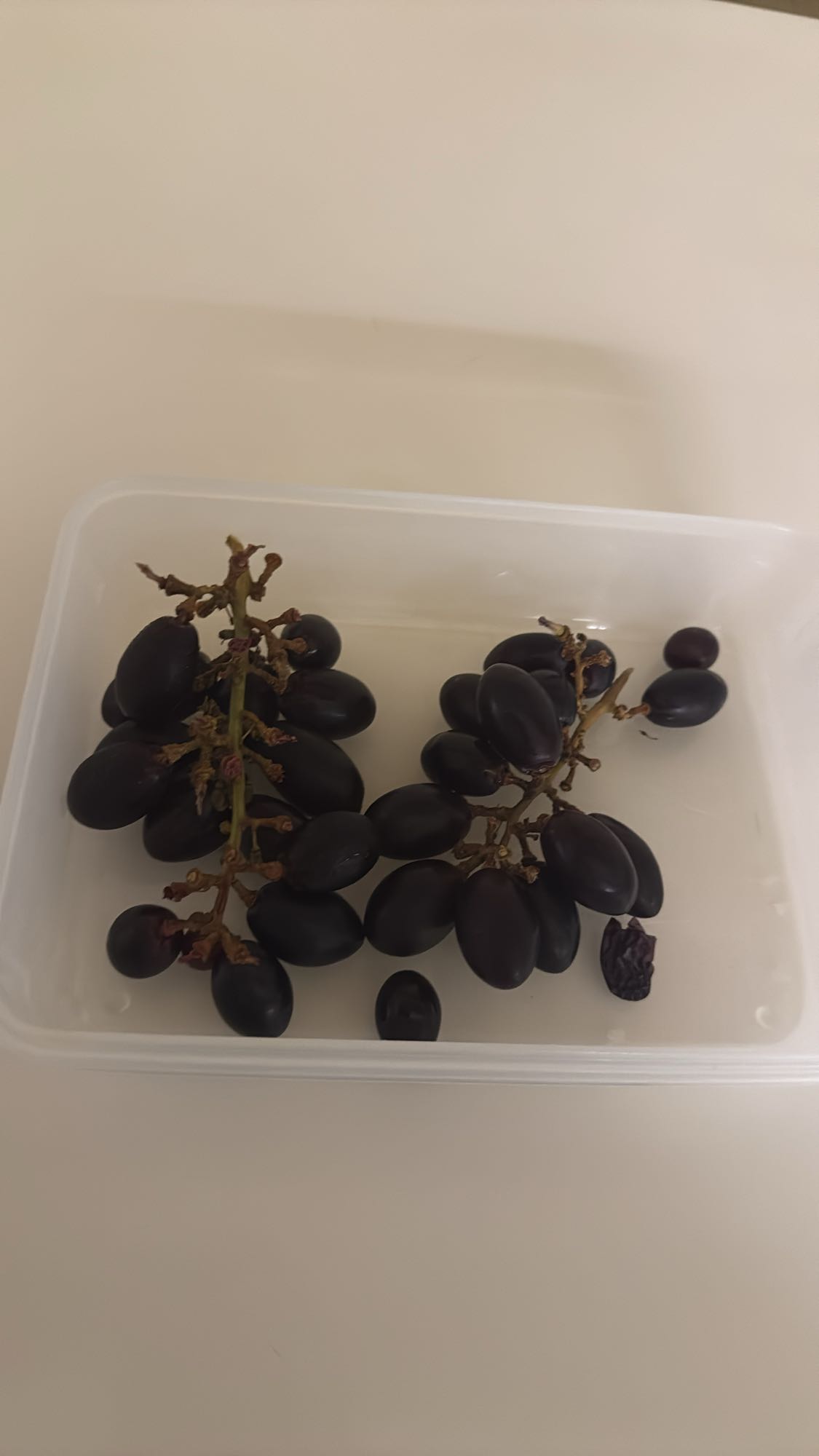 uvas negras frescas