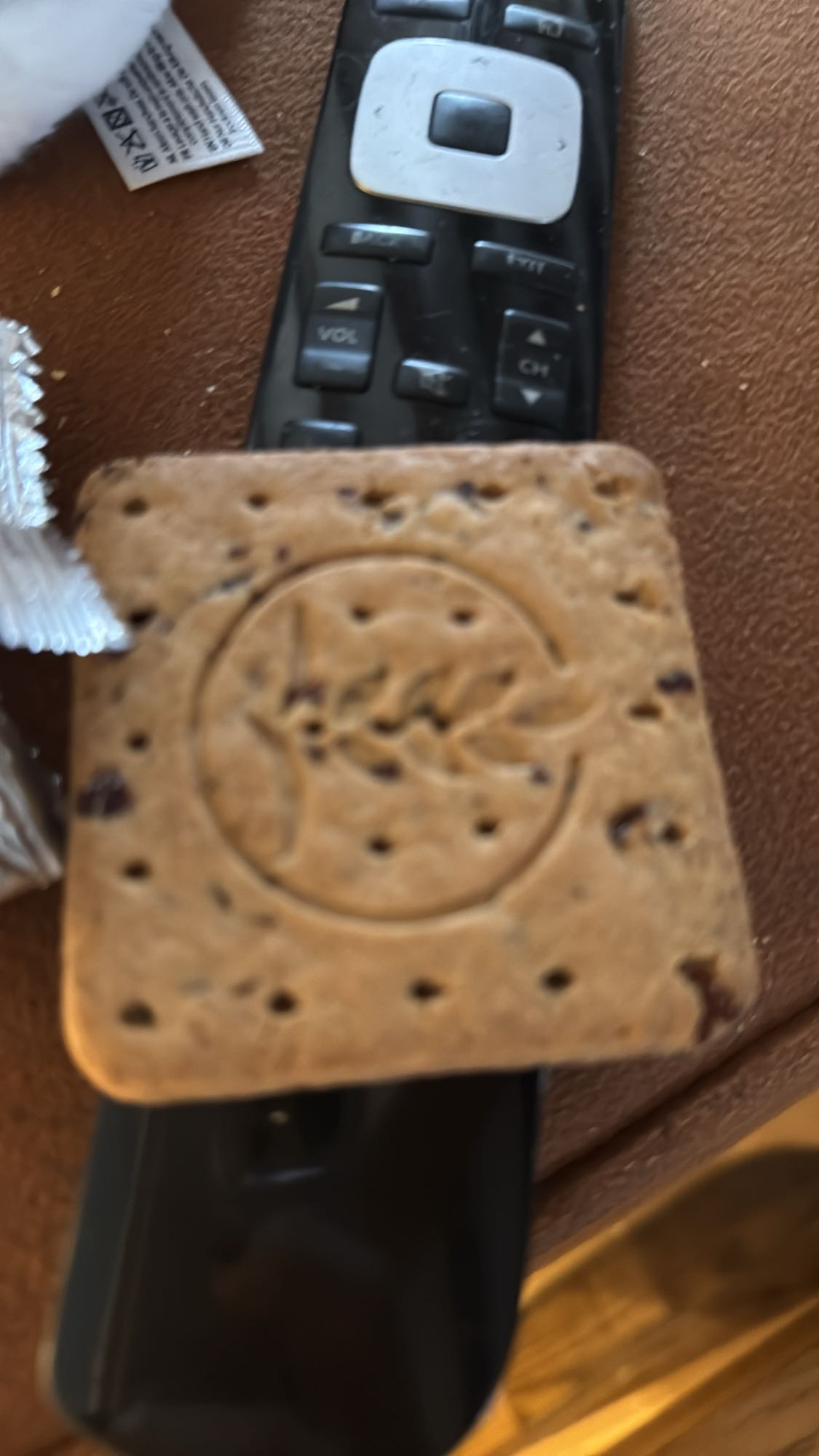 volkoren biscuit