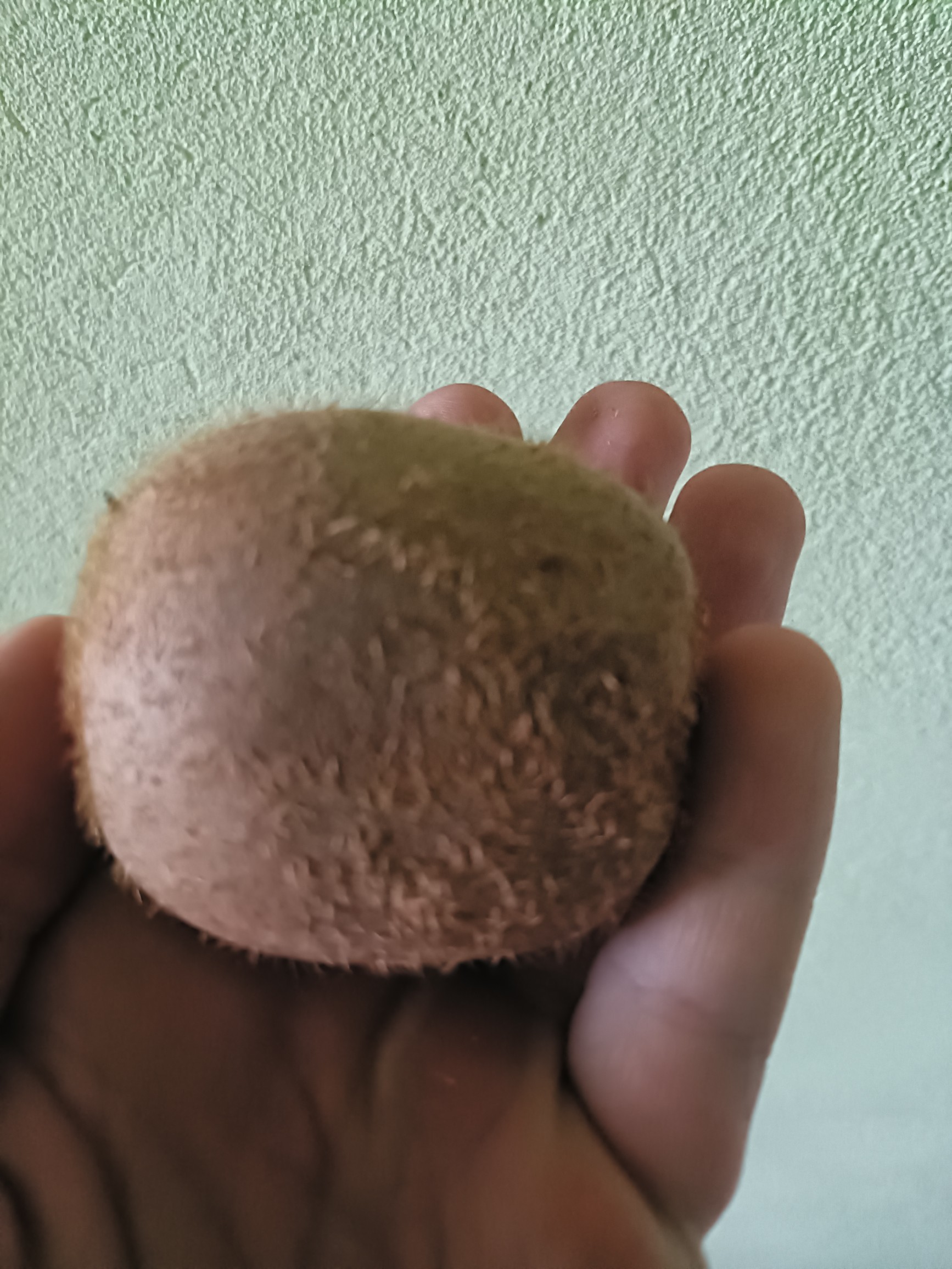 Whole Kiwi Fruit