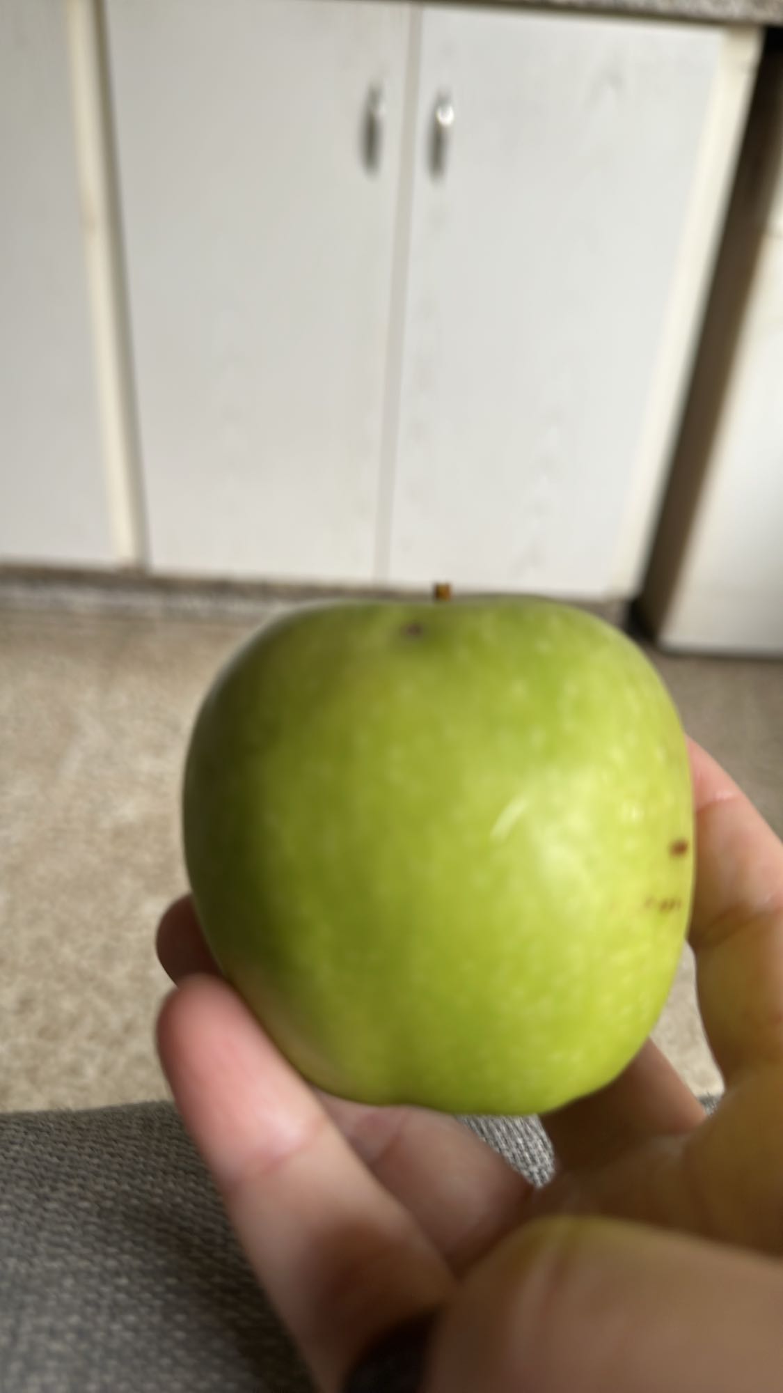 Green Apple Snack