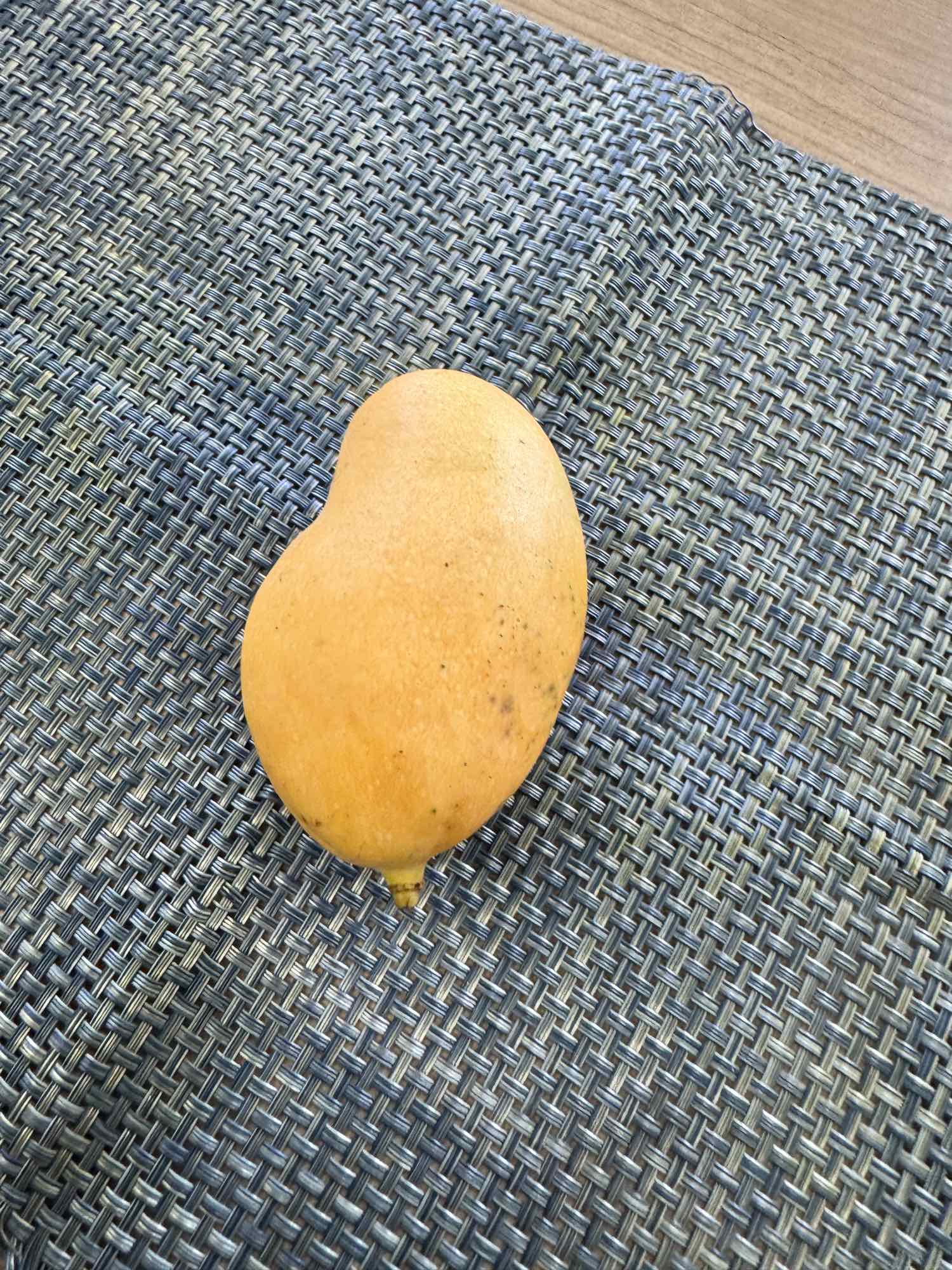 Manga fresca inteira