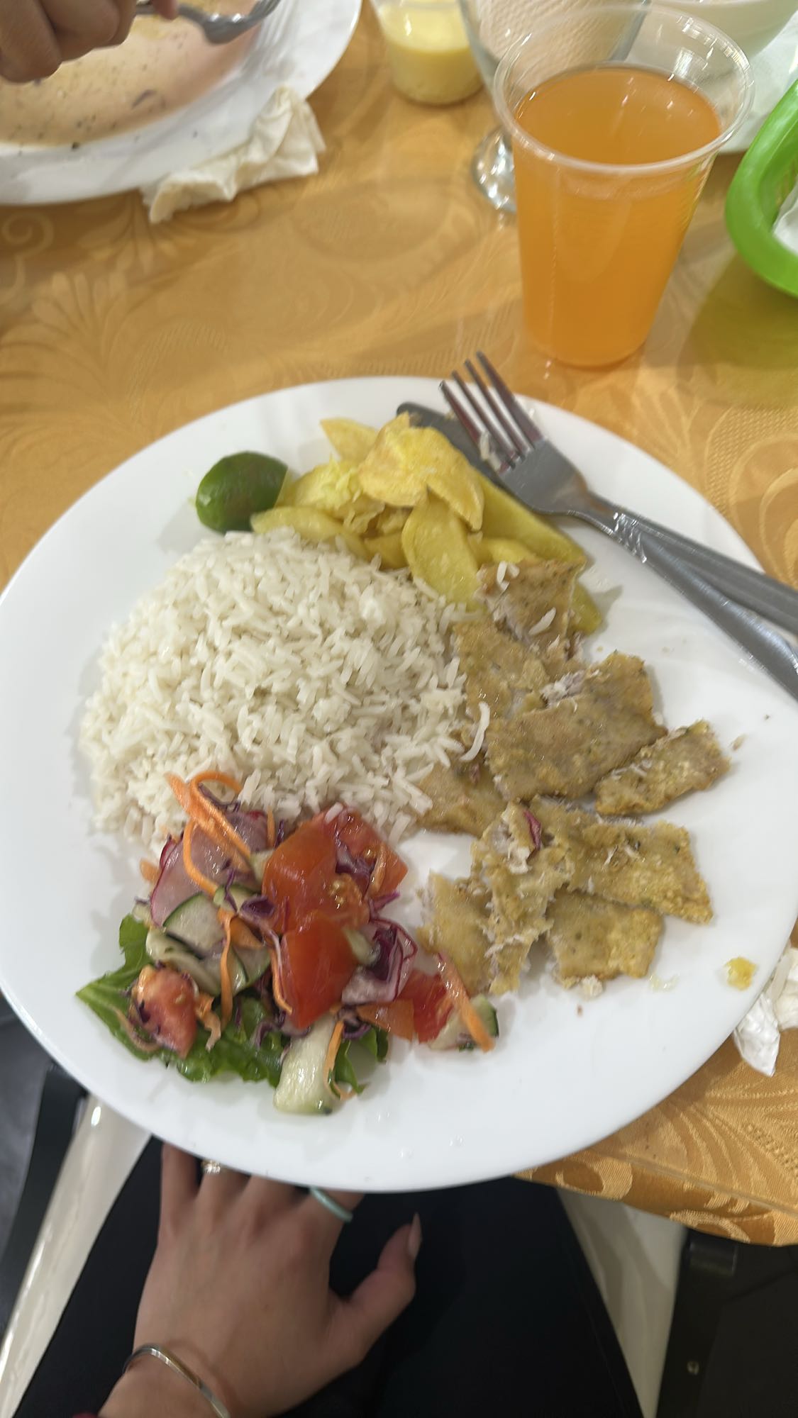 Plato con arroz y ensalada