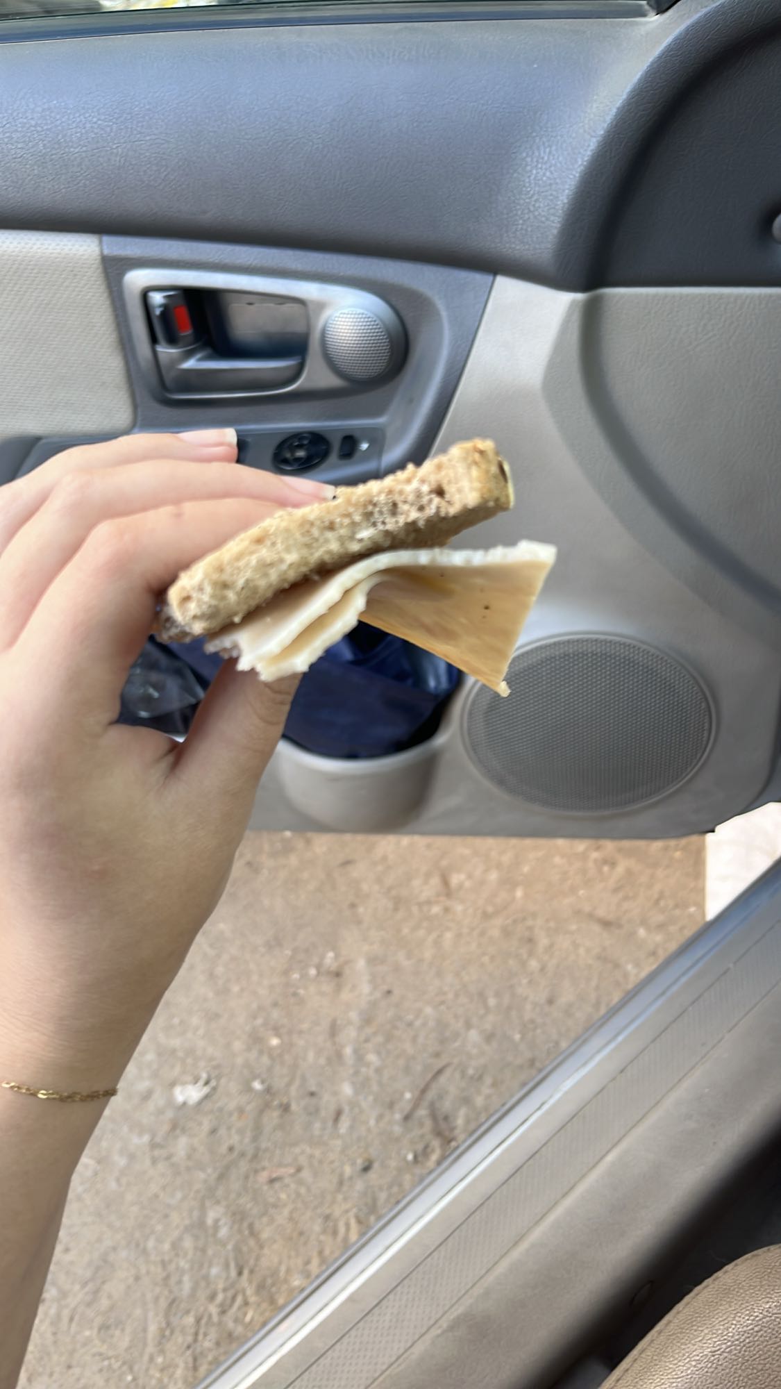 Turkey cheese sandwich