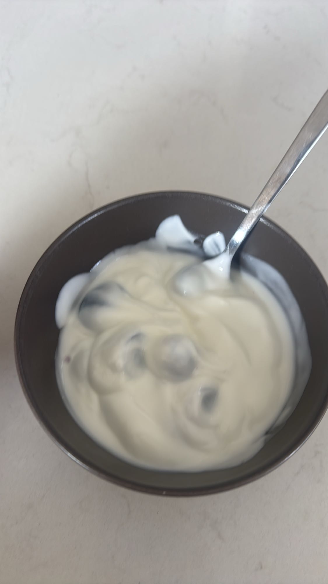 Yogurt with Blueberries