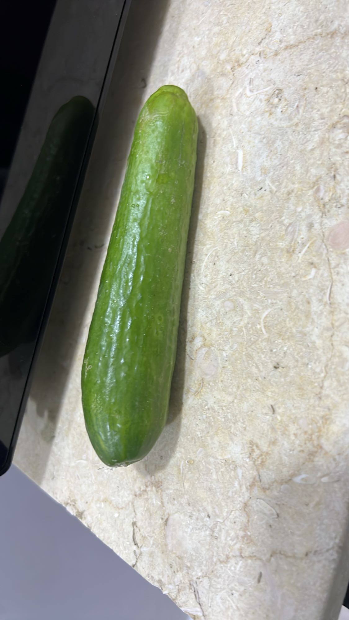 Fresh cucumber