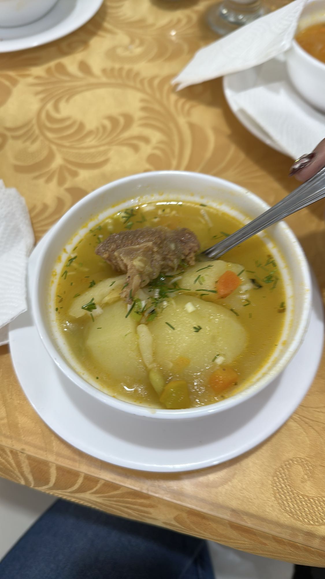 sopa de carne y verduras