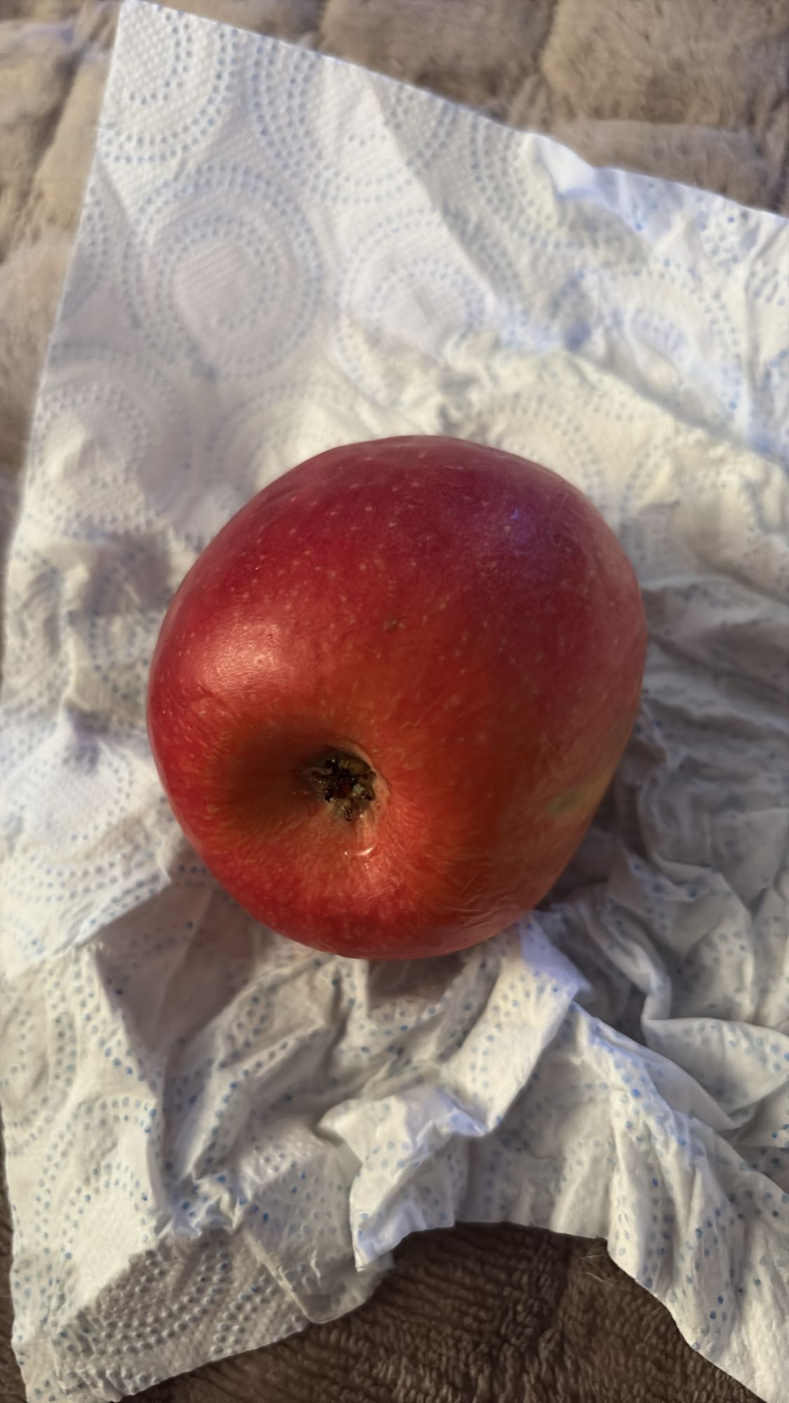 Rødt eple
