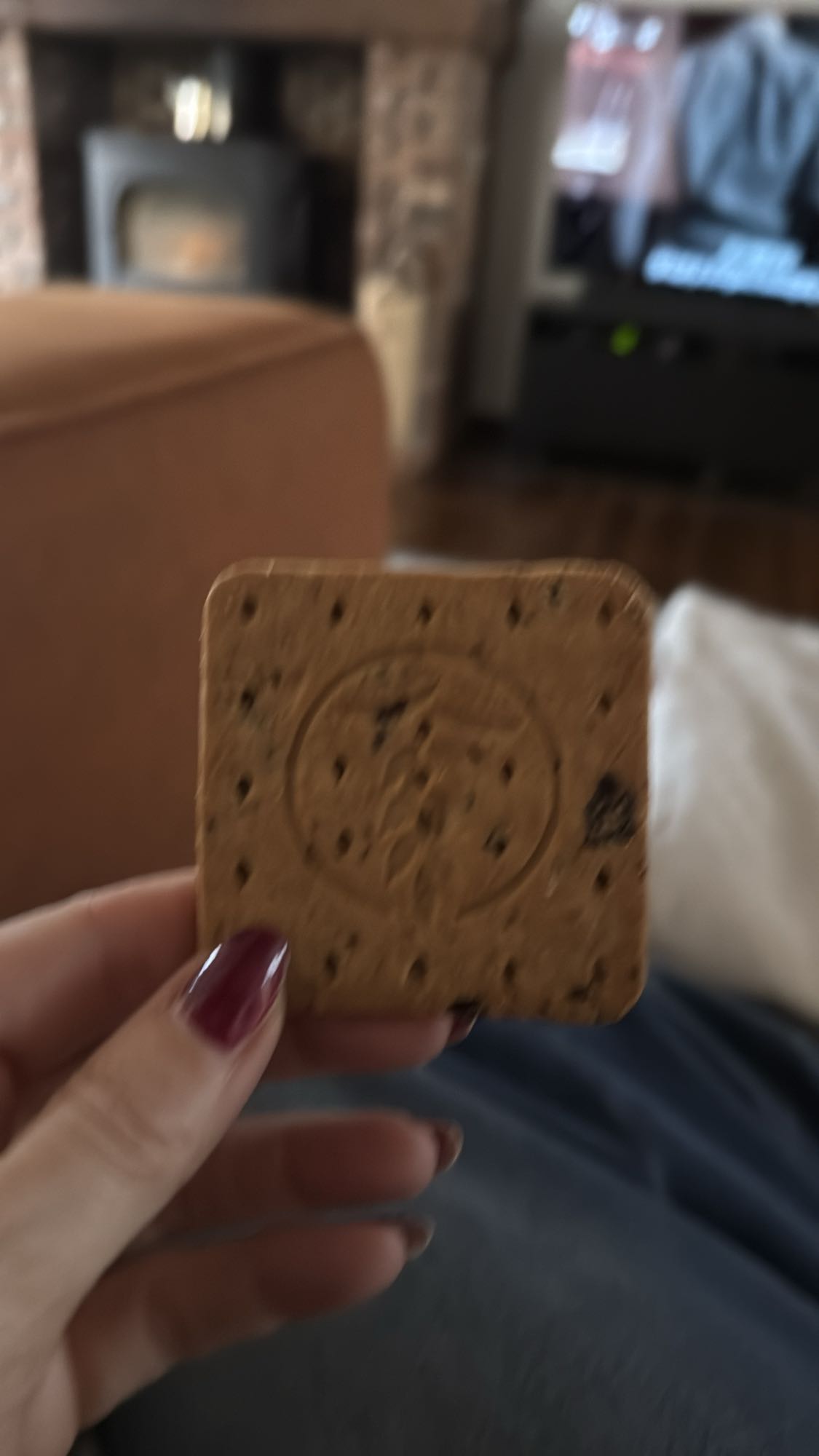 theebiscuit