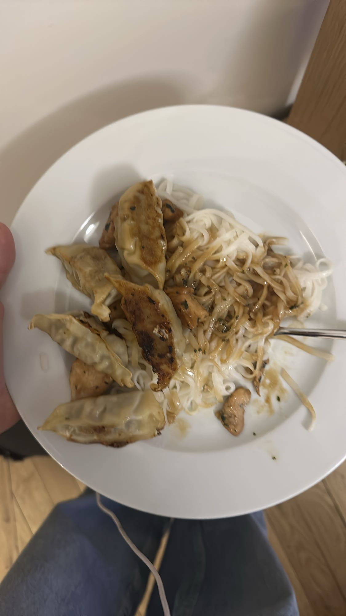 Nouilles et gyozas
