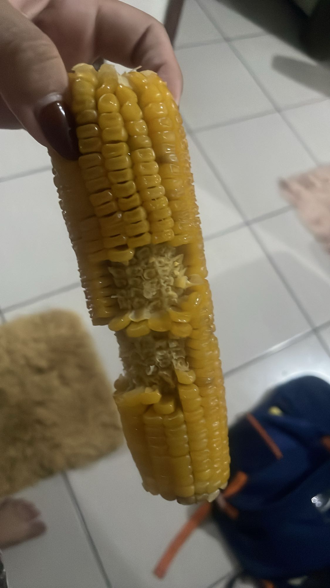 Milho cozido na espiga