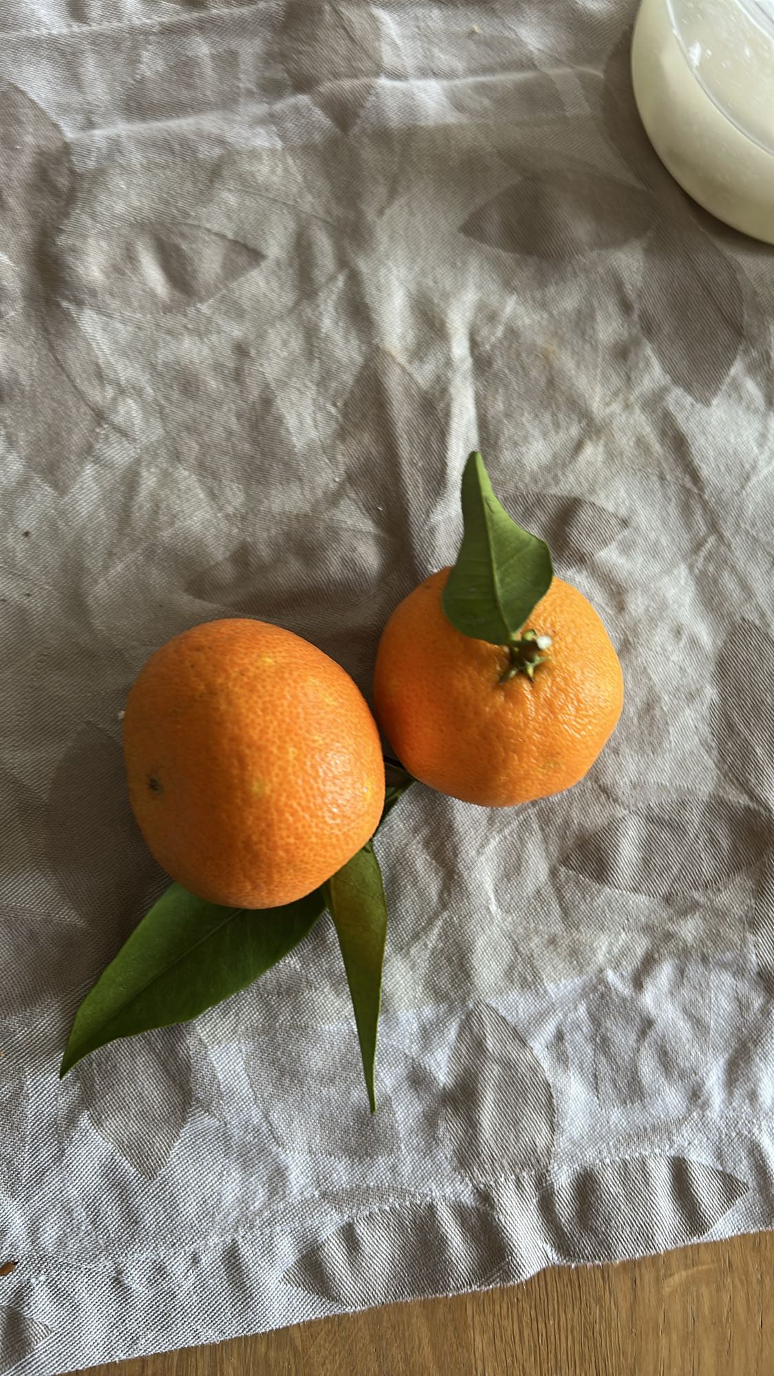 Mandarines fraîches