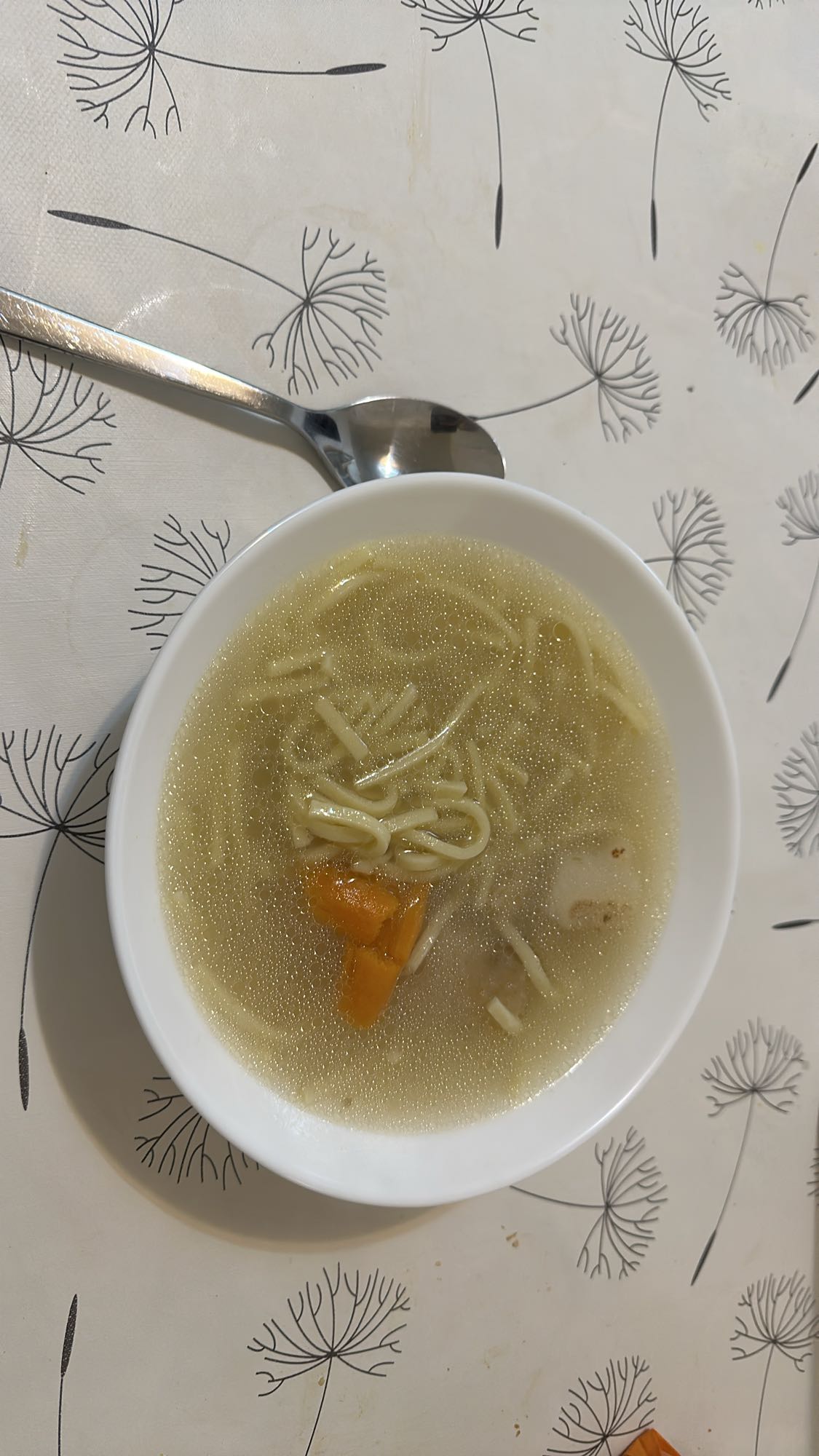 Chicken noodle soup