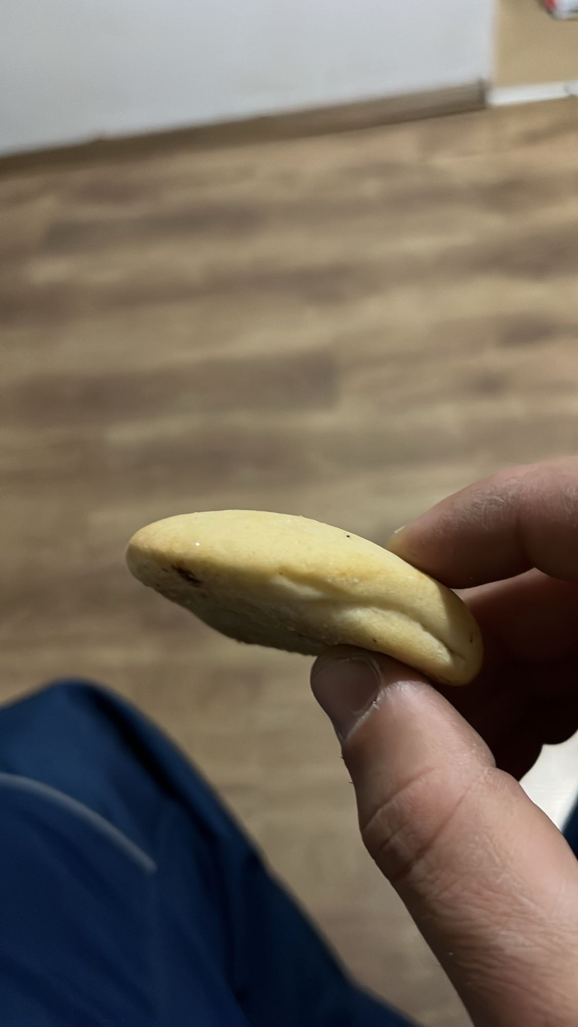 Домашна бисквита