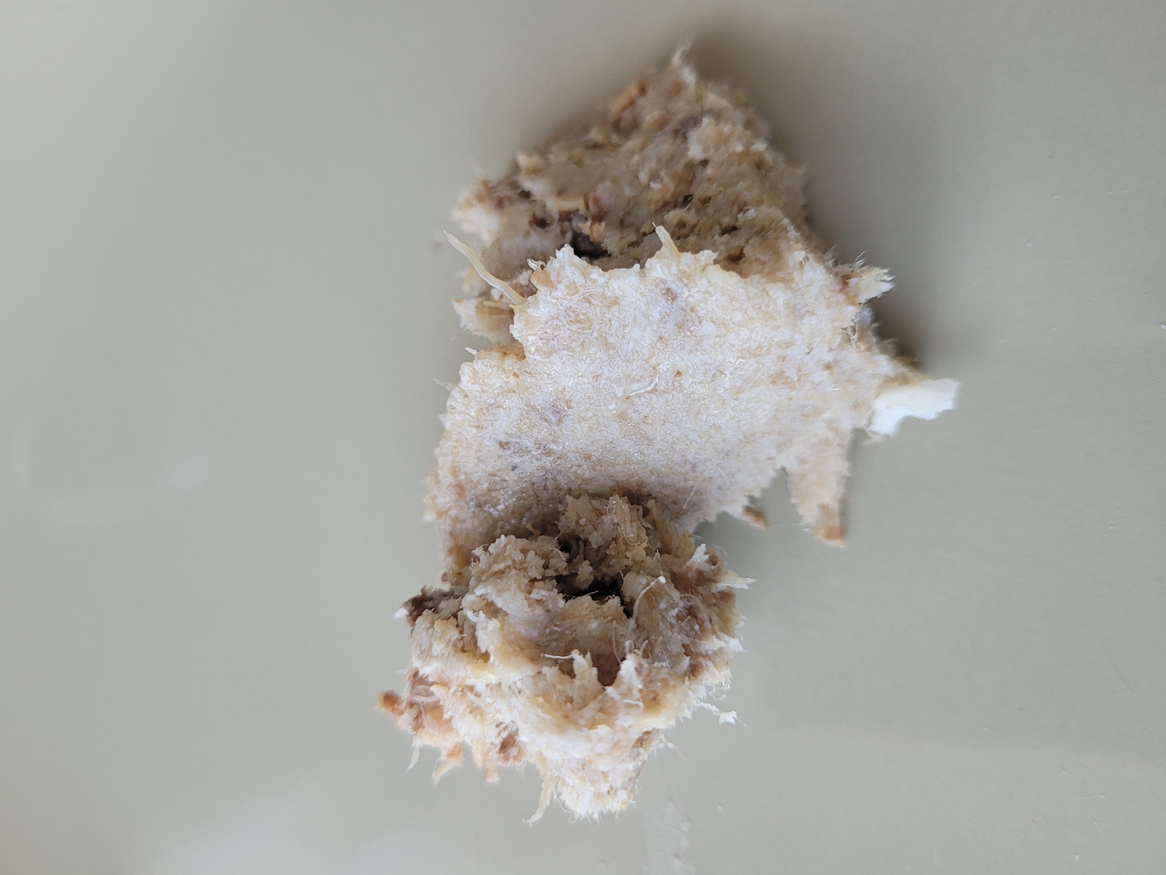 thon nature émietté