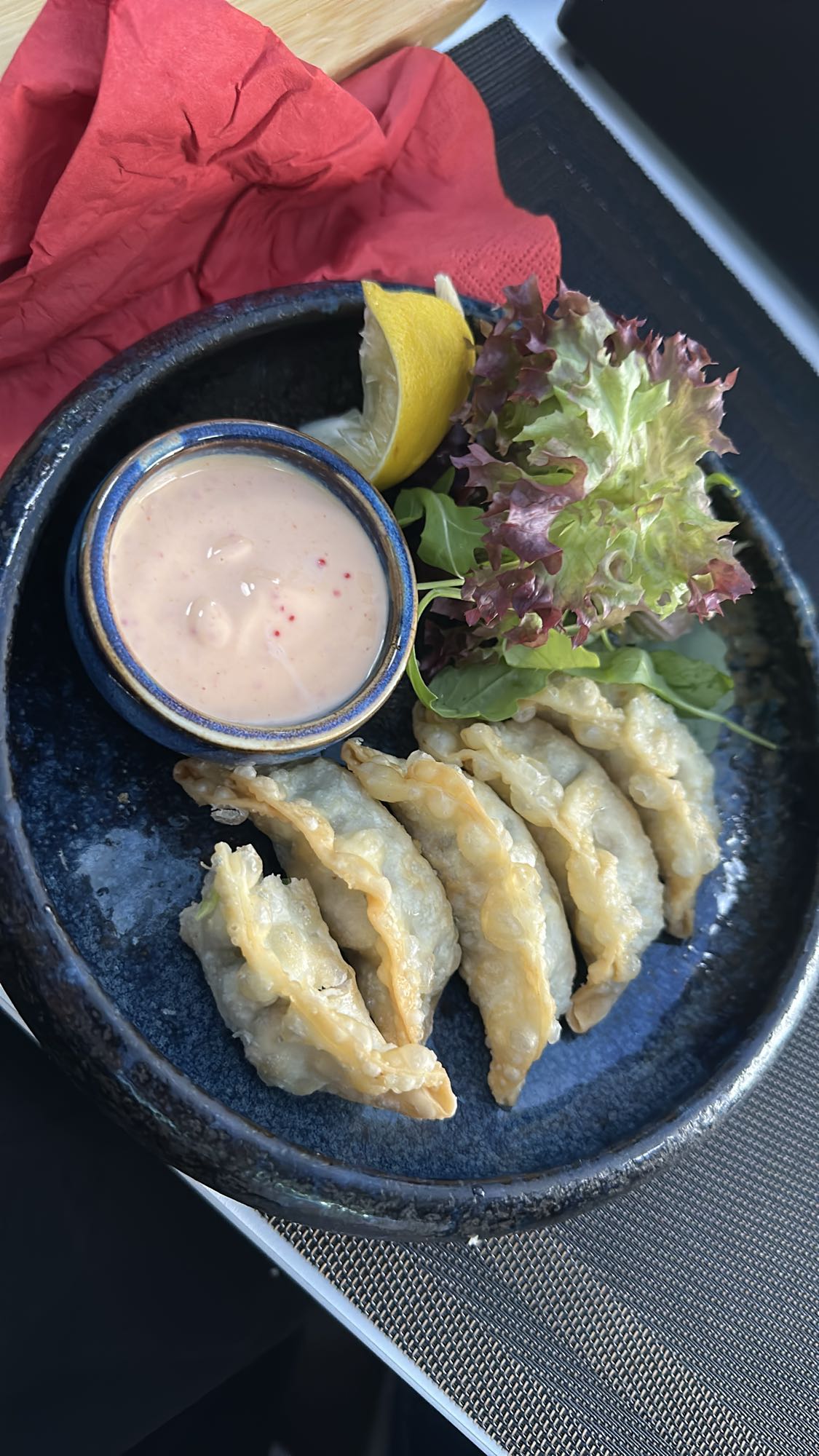Fried Dumplings Plate
