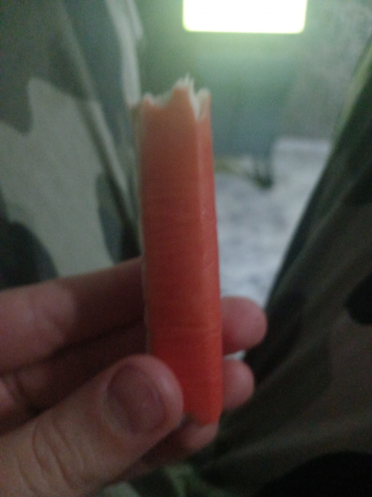 Raw Carrot Snack