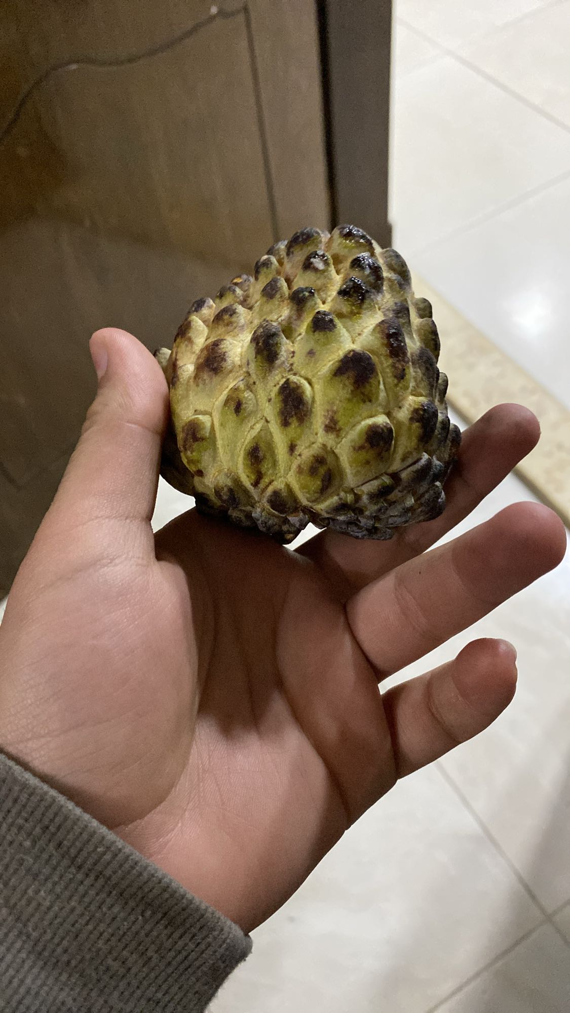 فاكهة القشطة