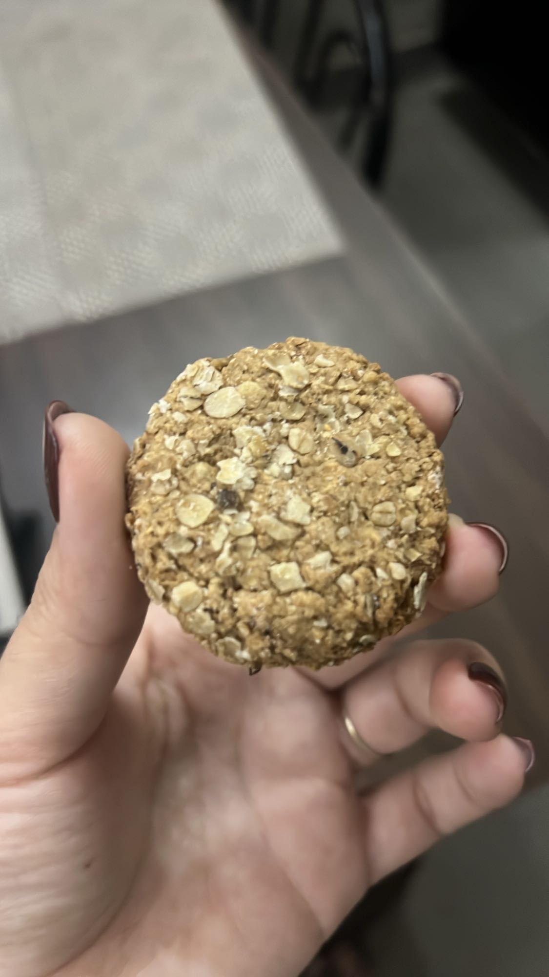 Oatmeal Cookie