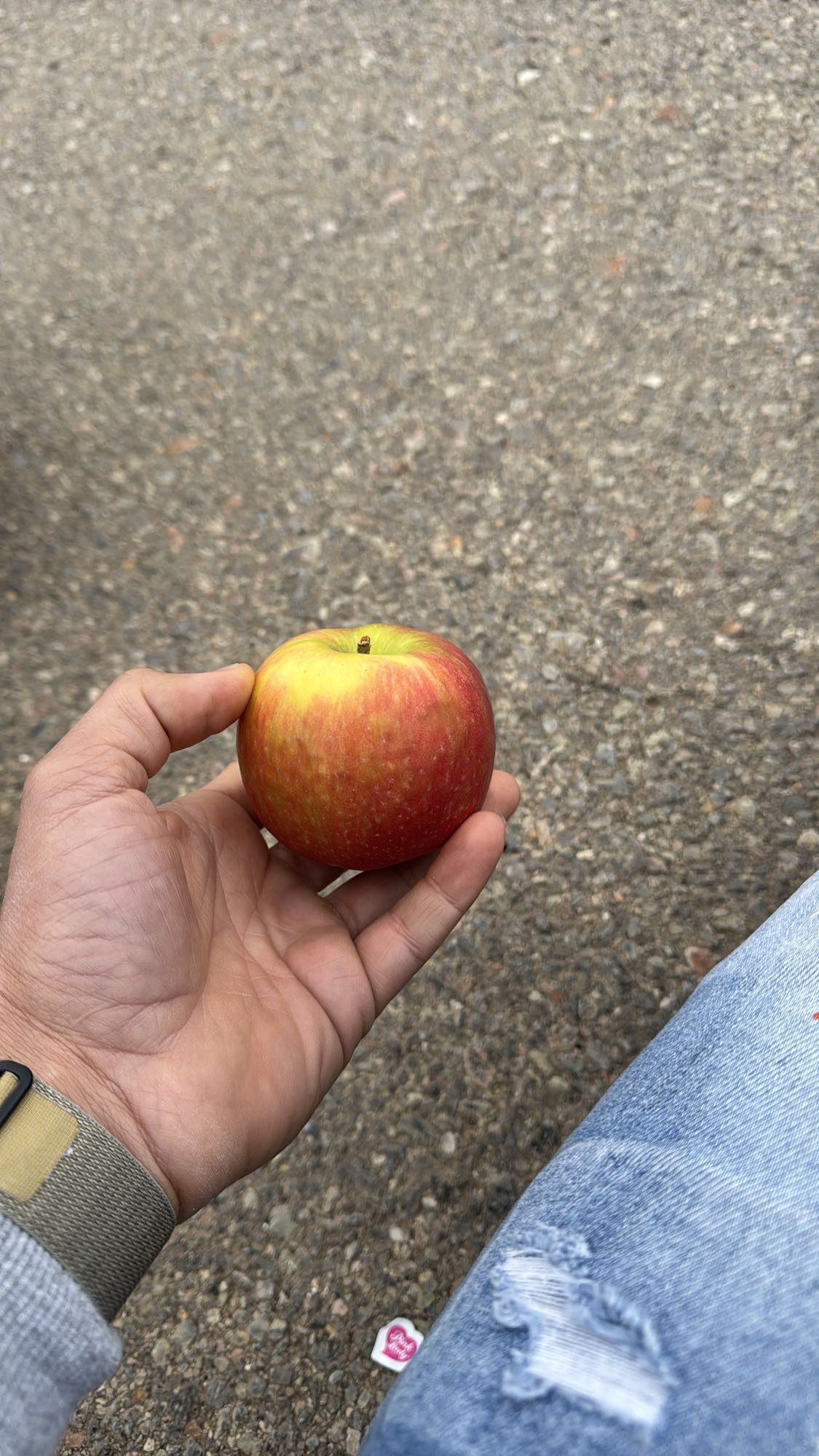 Manzana fresca