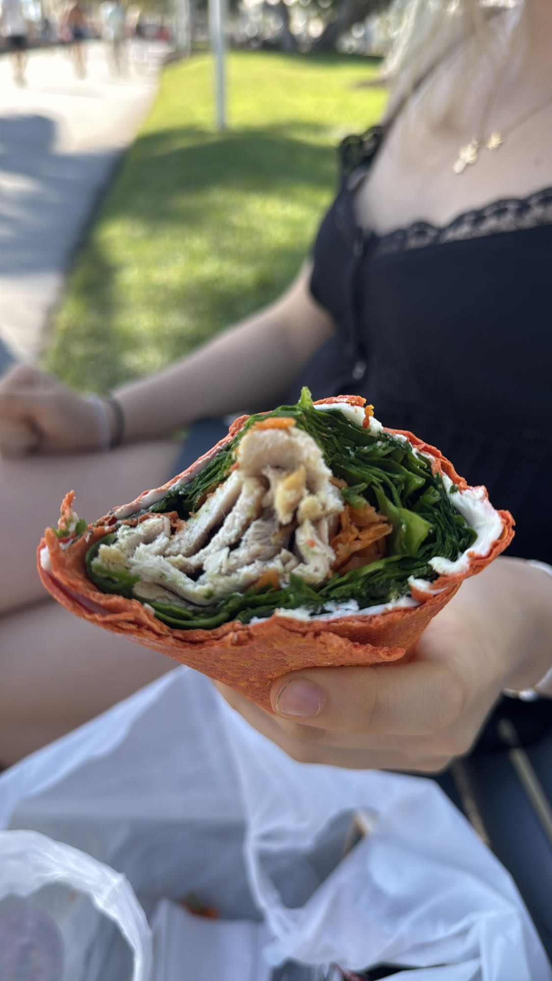 Chicken Spinach Wrap