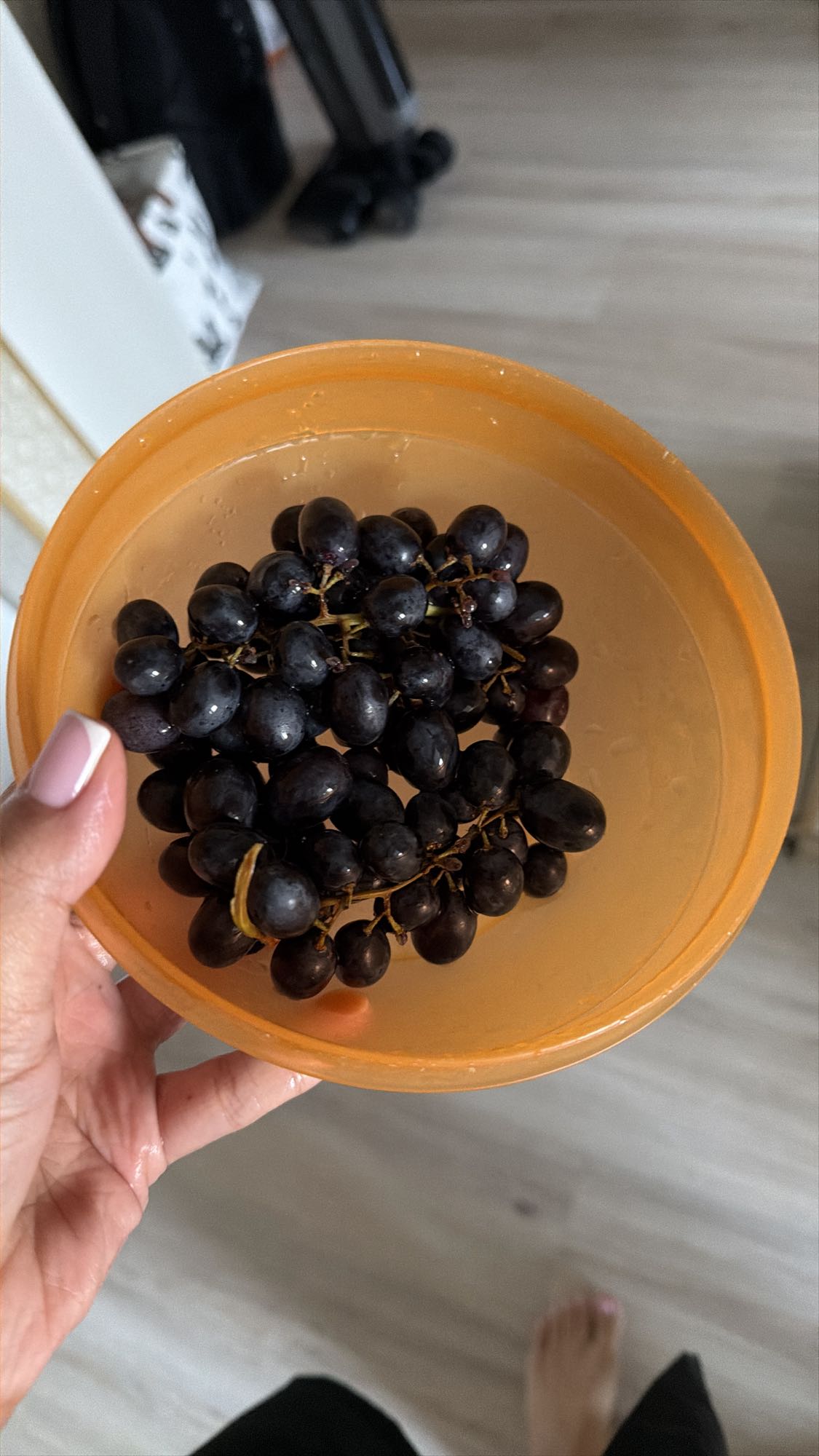 черный виноград