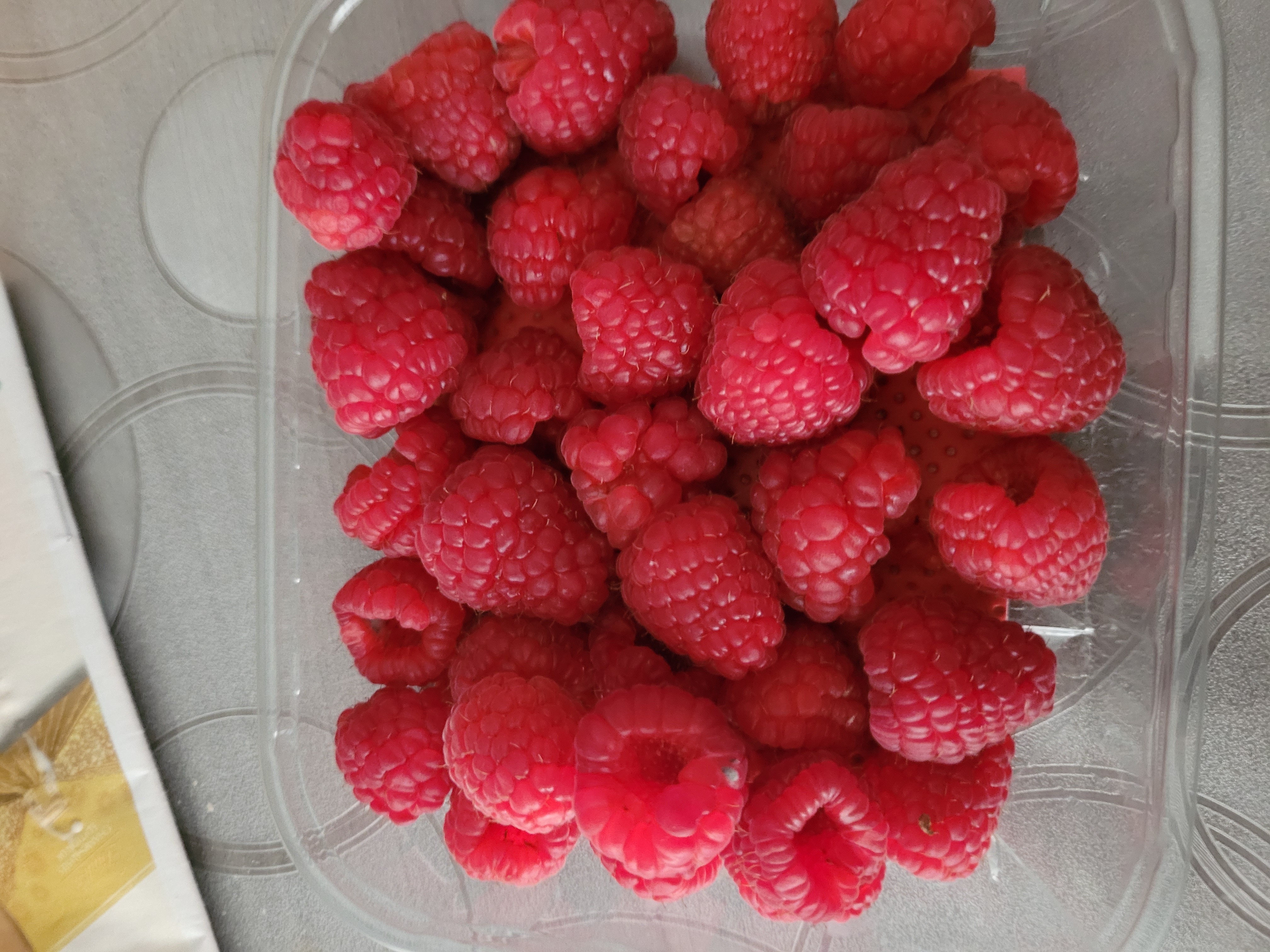 Framboises fraîches