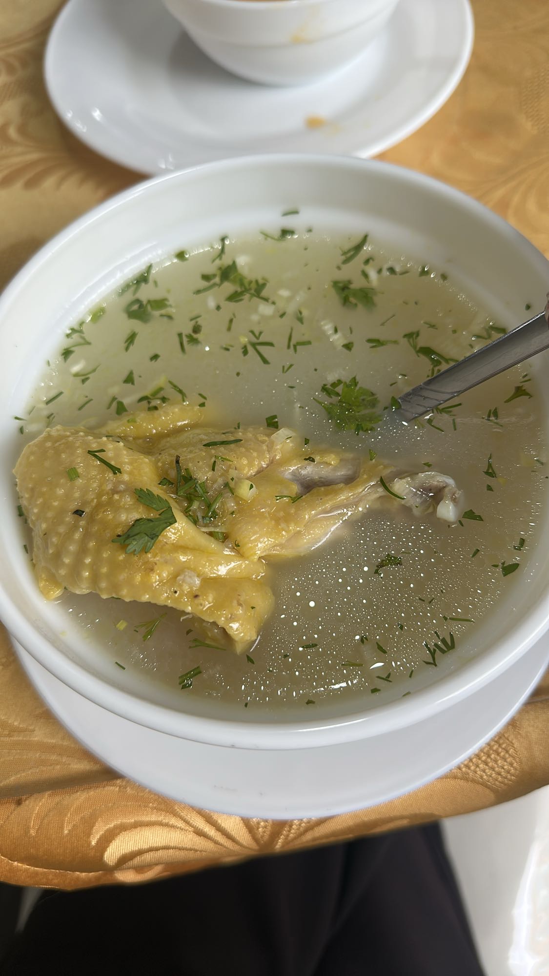 Sopa de pollo casera