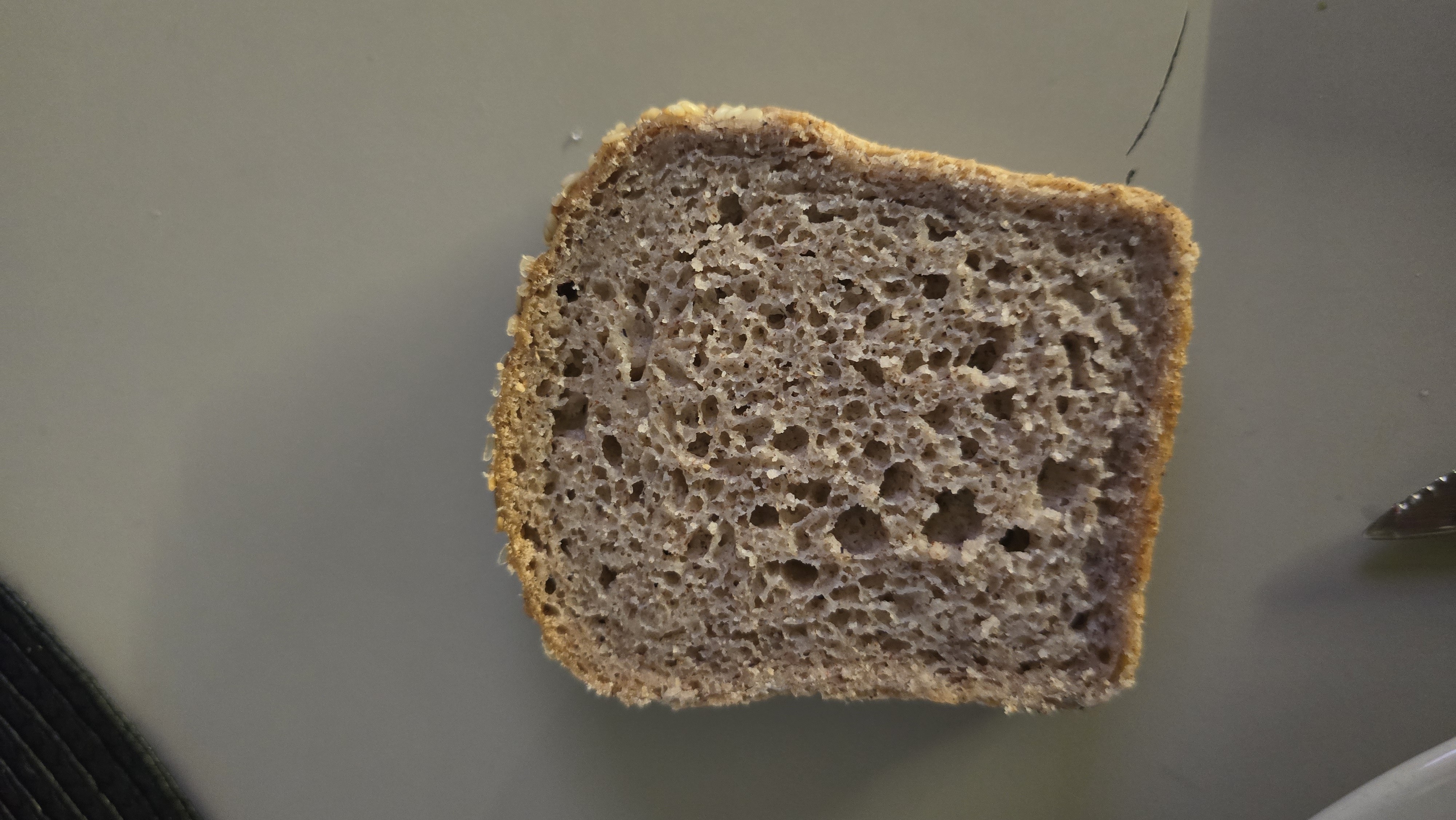 Slice of Whole Grain Bread