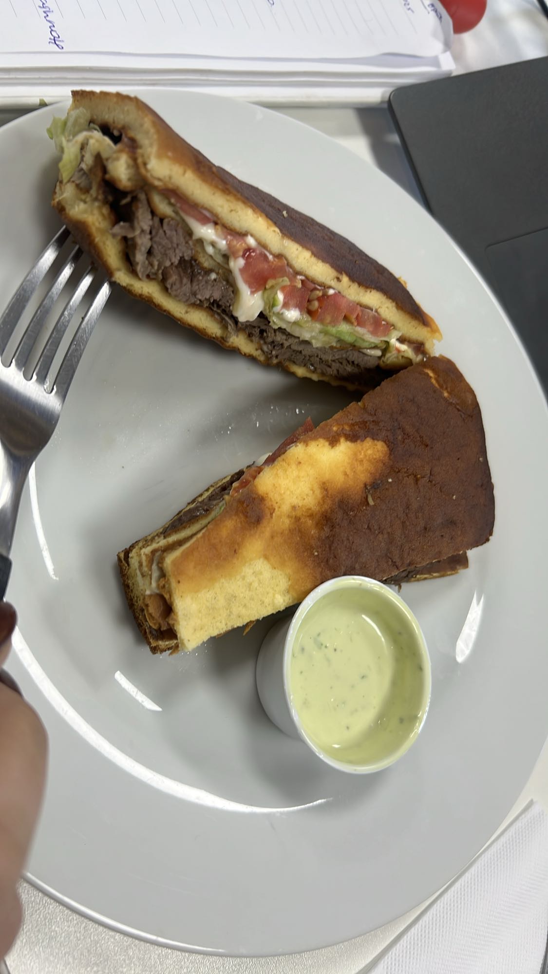 Steak Sandwich with Sauce