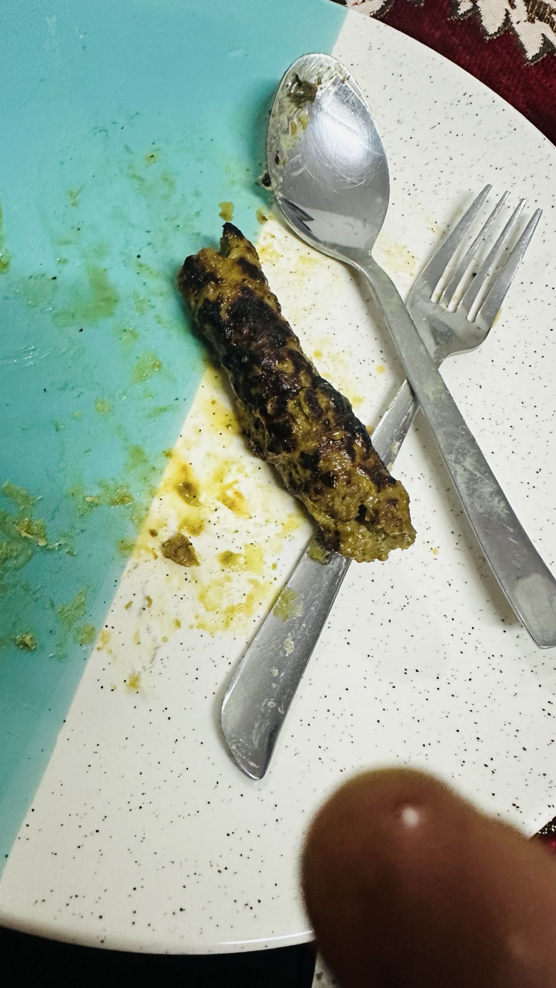 Grilled Seekh Kebab