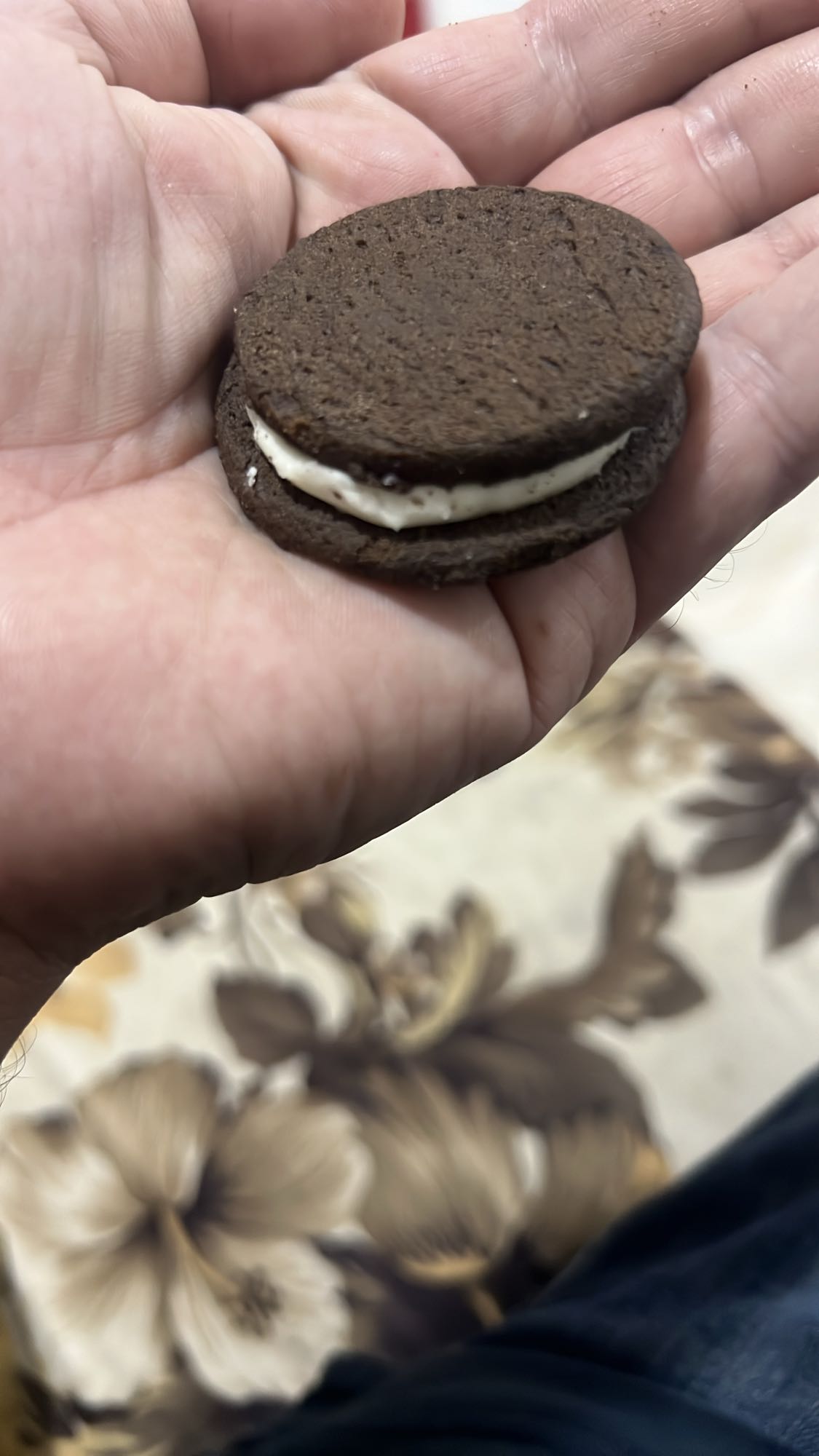 Chocolate sandwich cookie