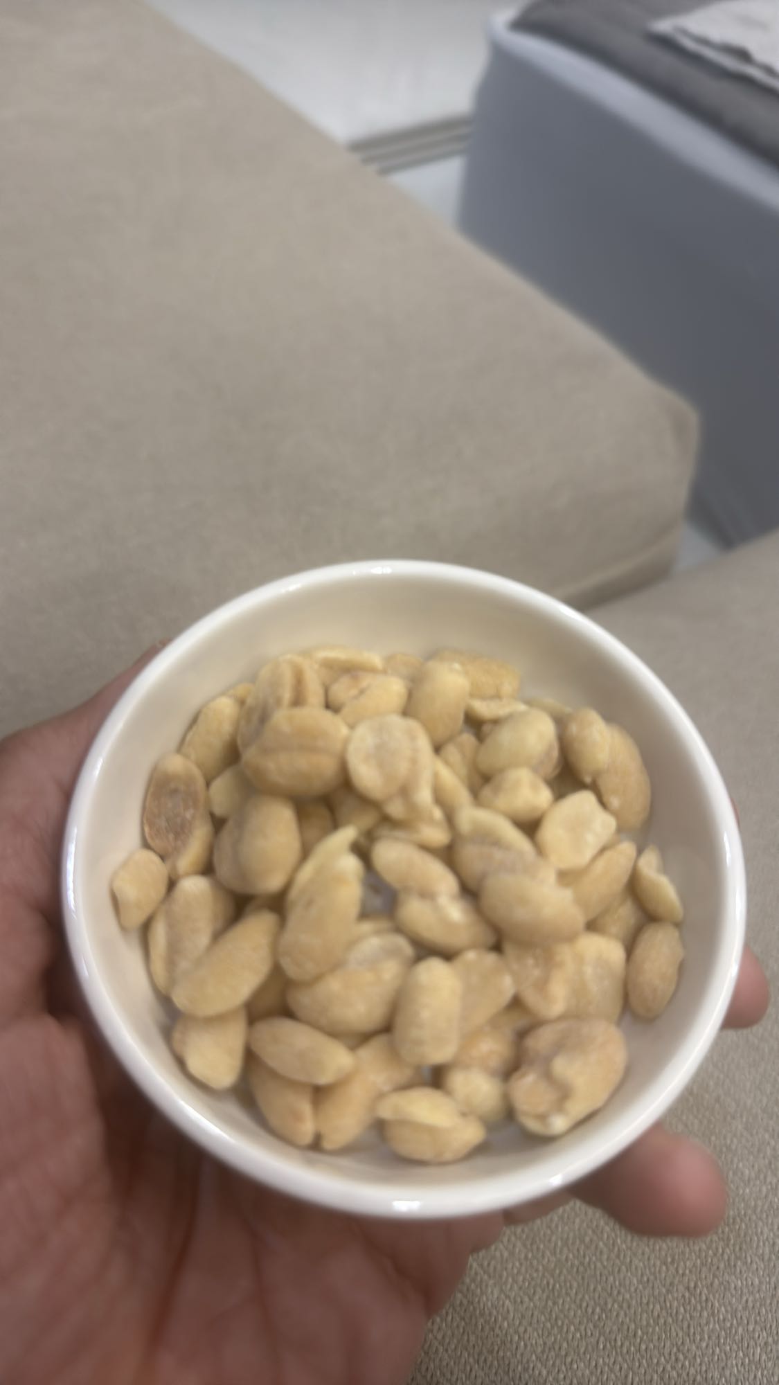 Roasted Peanuts Bowl