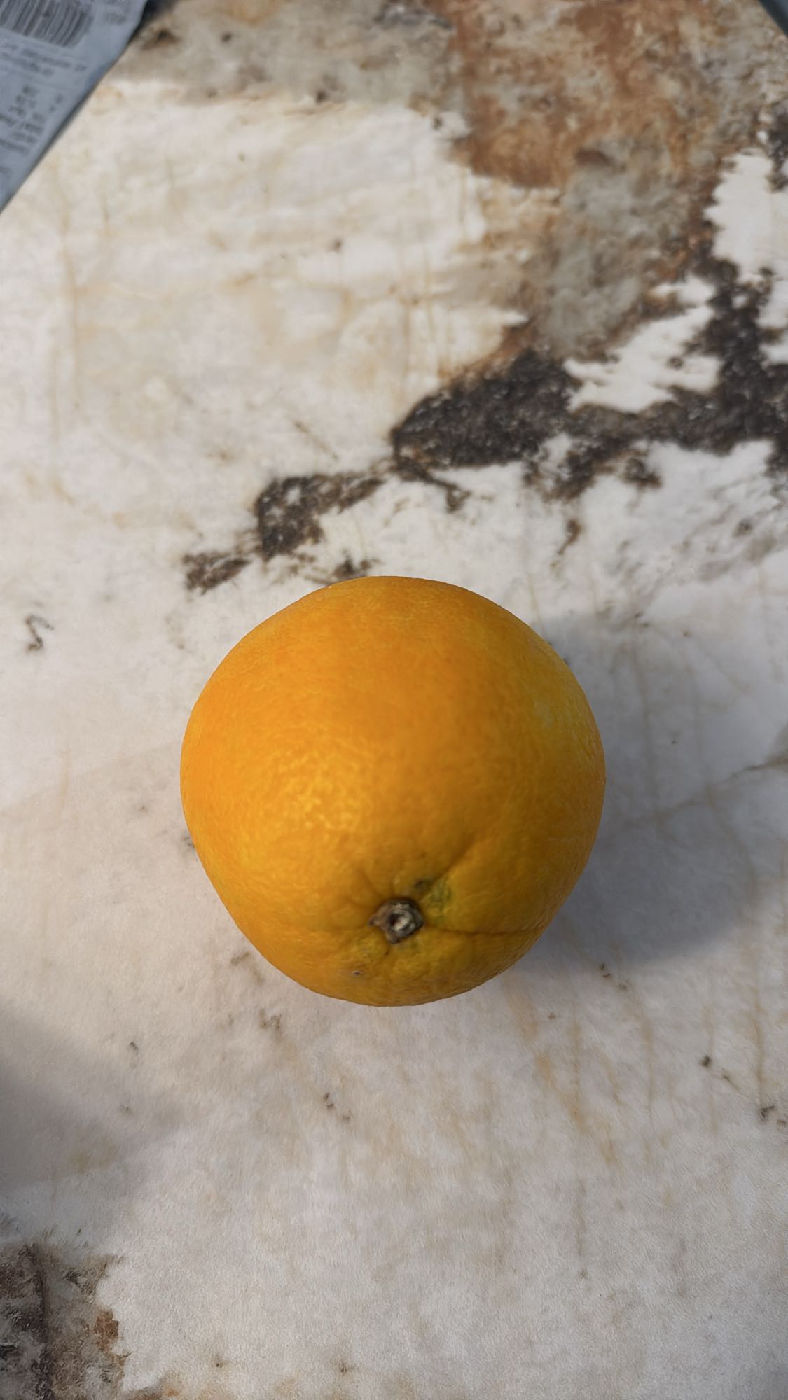 orange entière