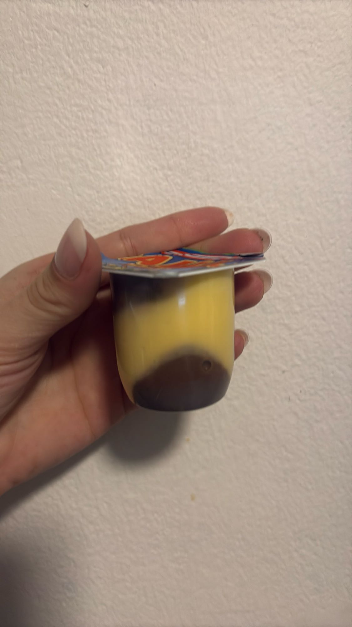 vanille chocolade pudding