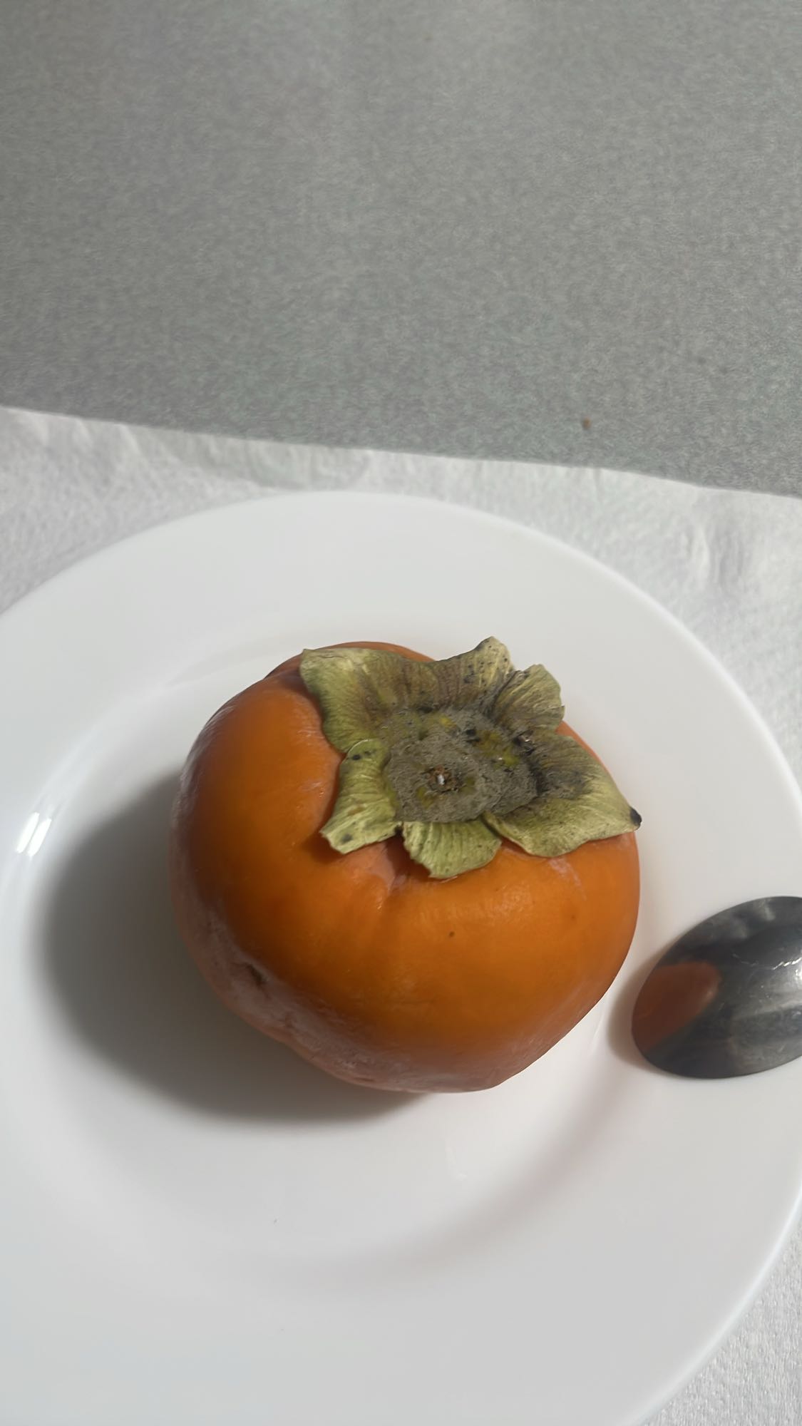 Fresh Persimmon