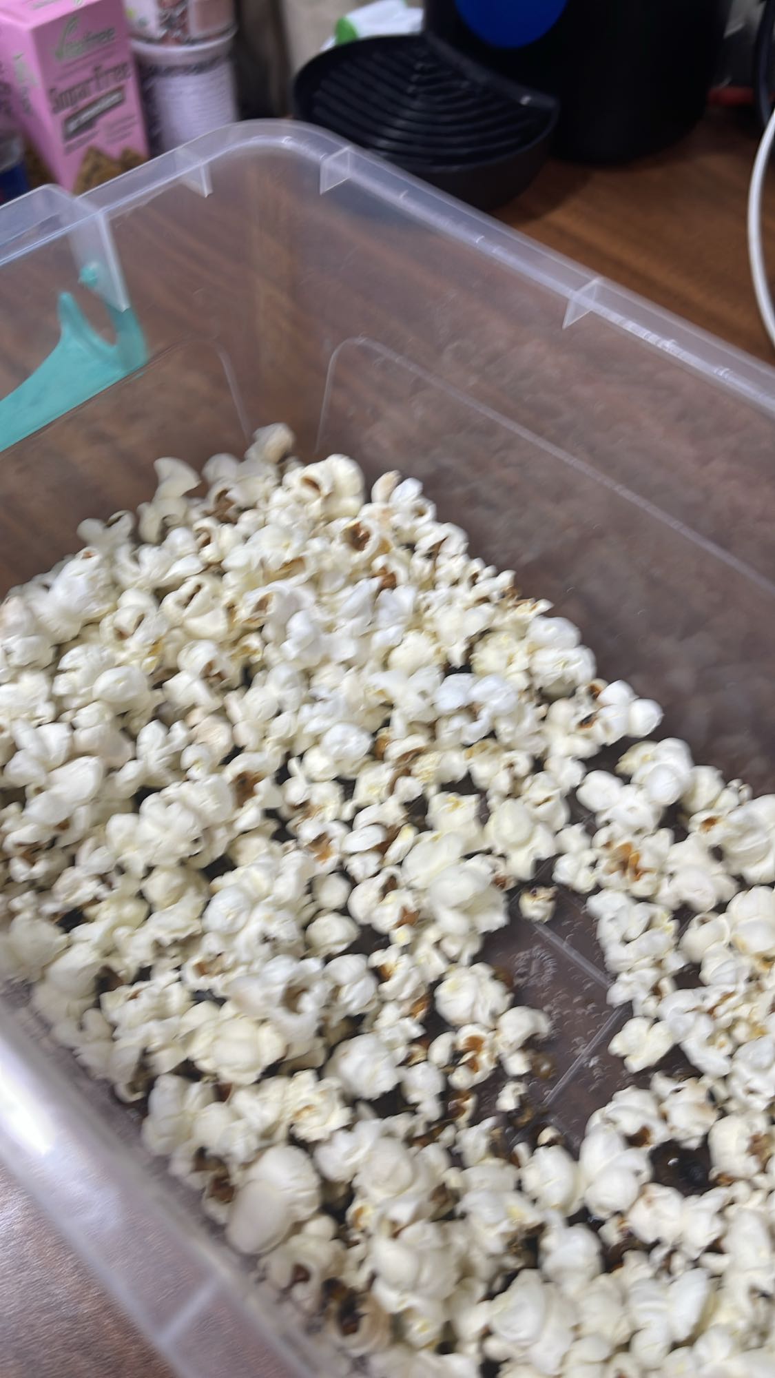 Plain Popcorn