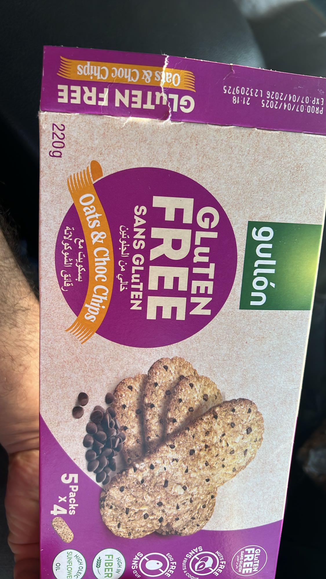 Oats & Choc Chip Cookies