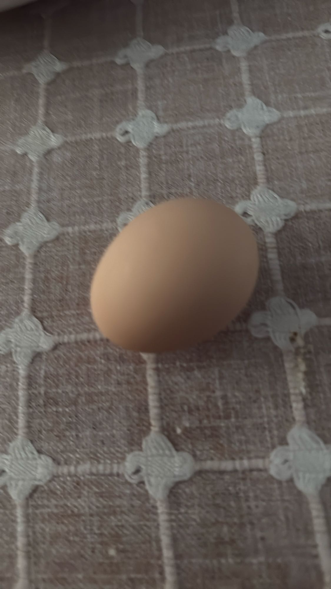 куриное яйцо