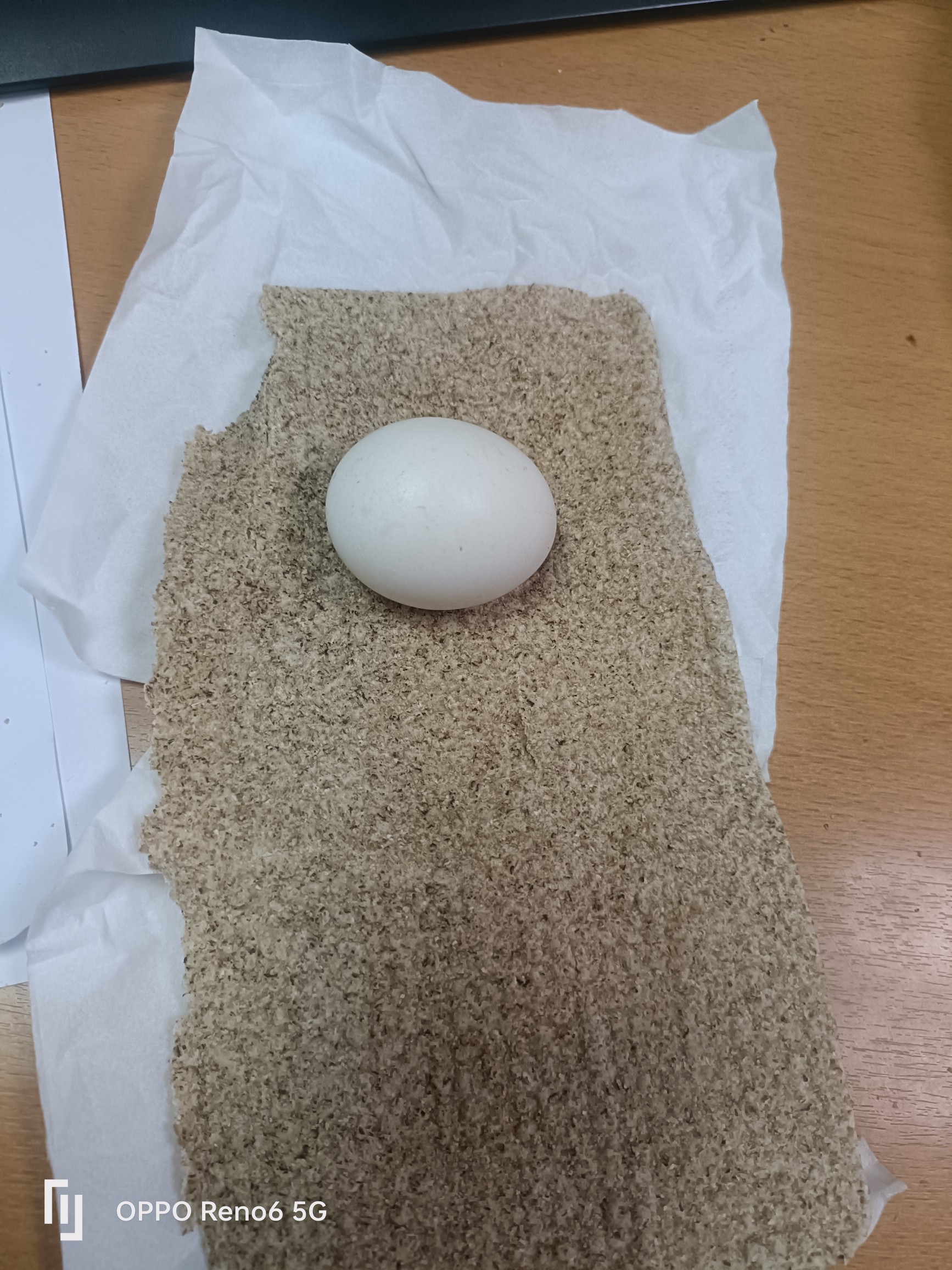 Egg on wheat bran wrap