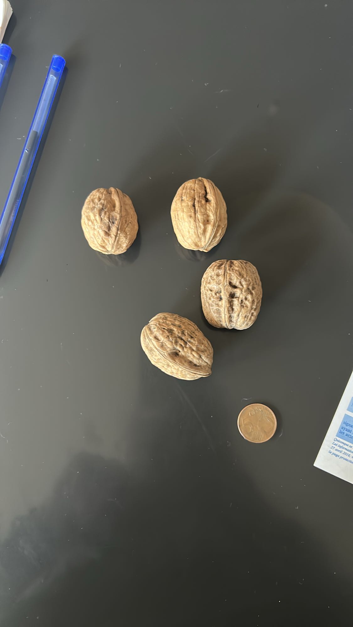 Noix entières