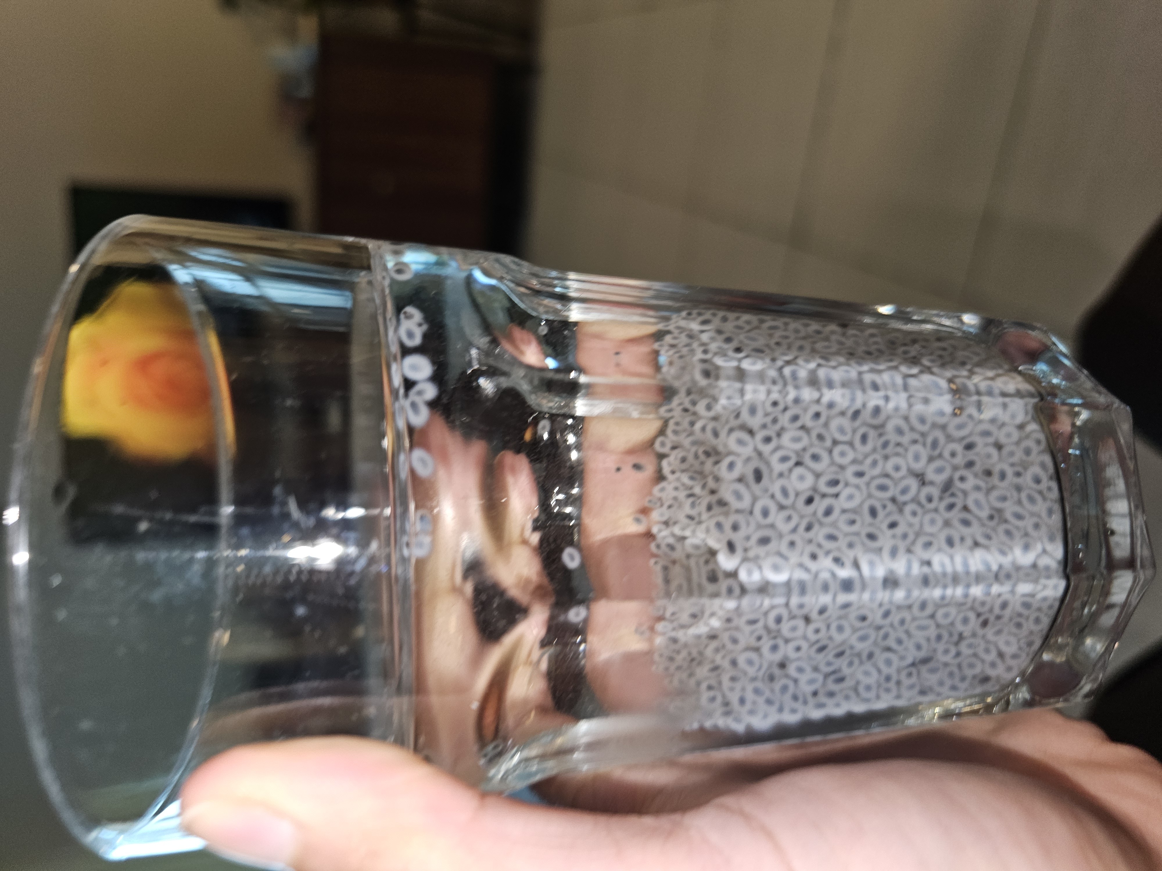 Basil Seed Drink