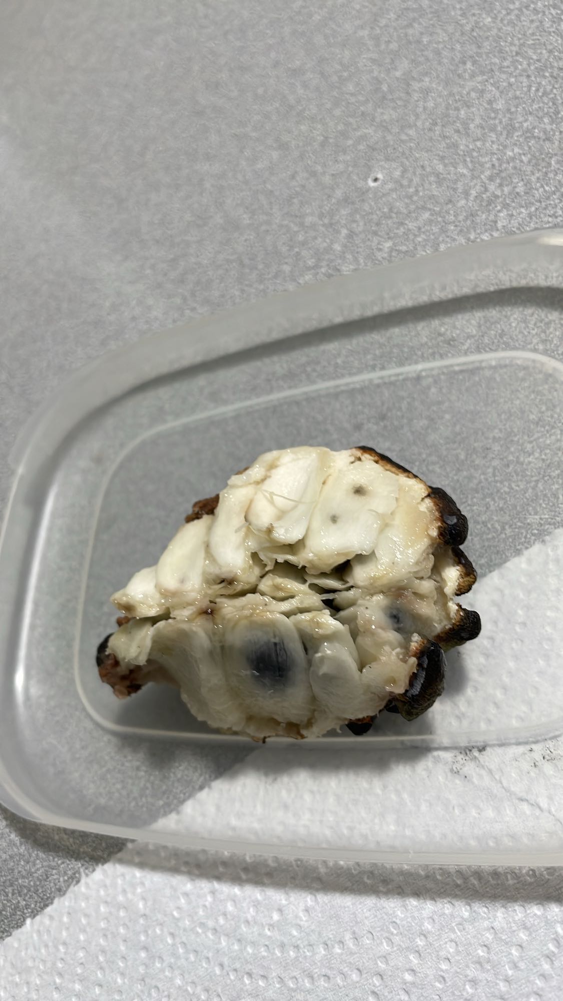 Cherimoya fruit half