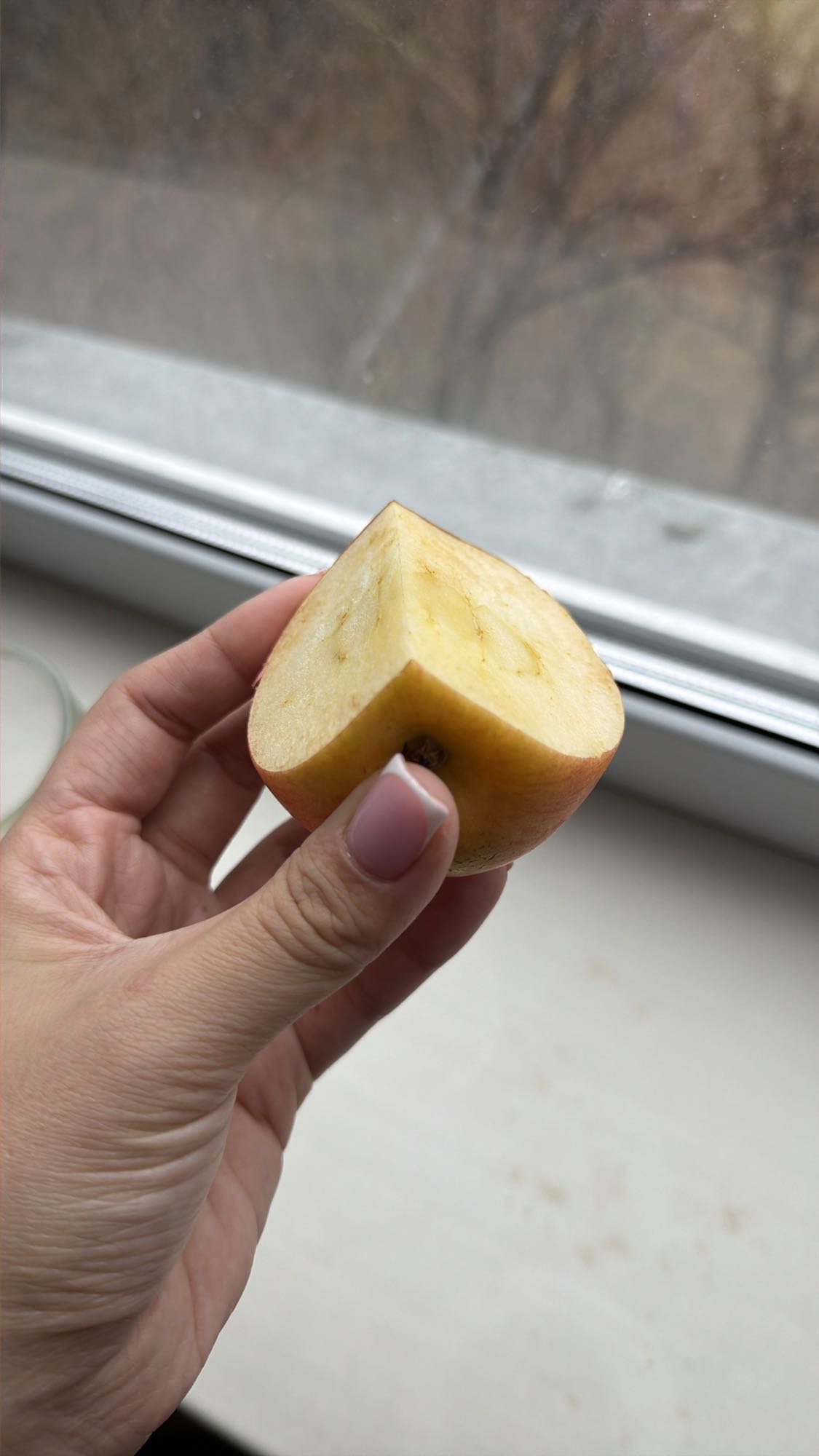 Кусочек яблока