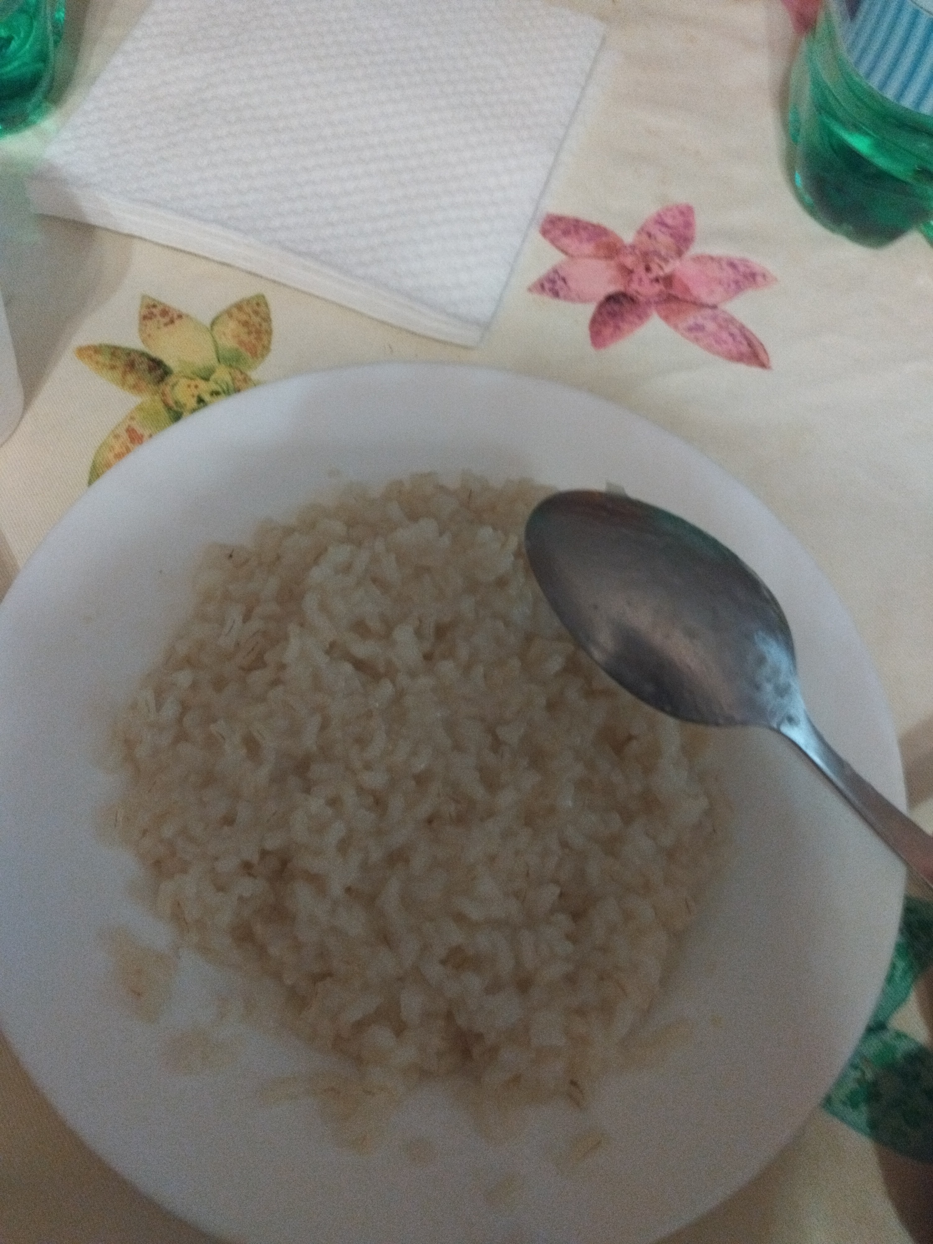 Plain Brown Rice
